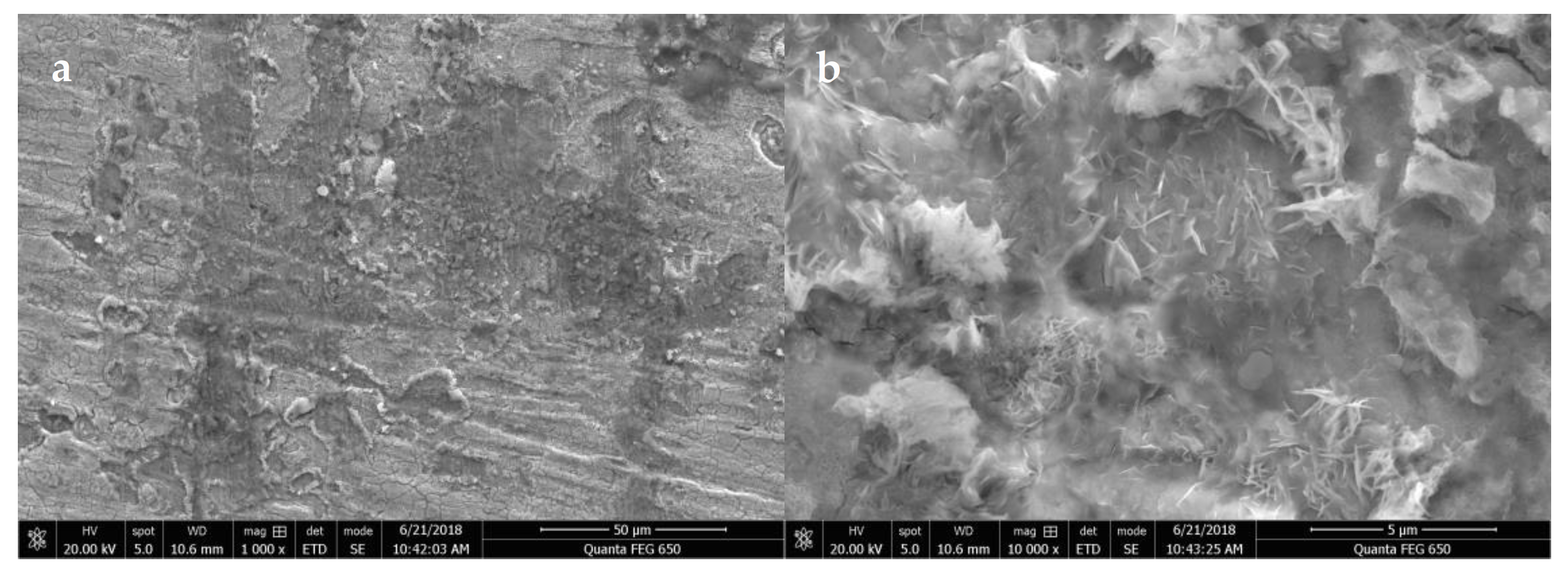 Processes 10 00241 g009