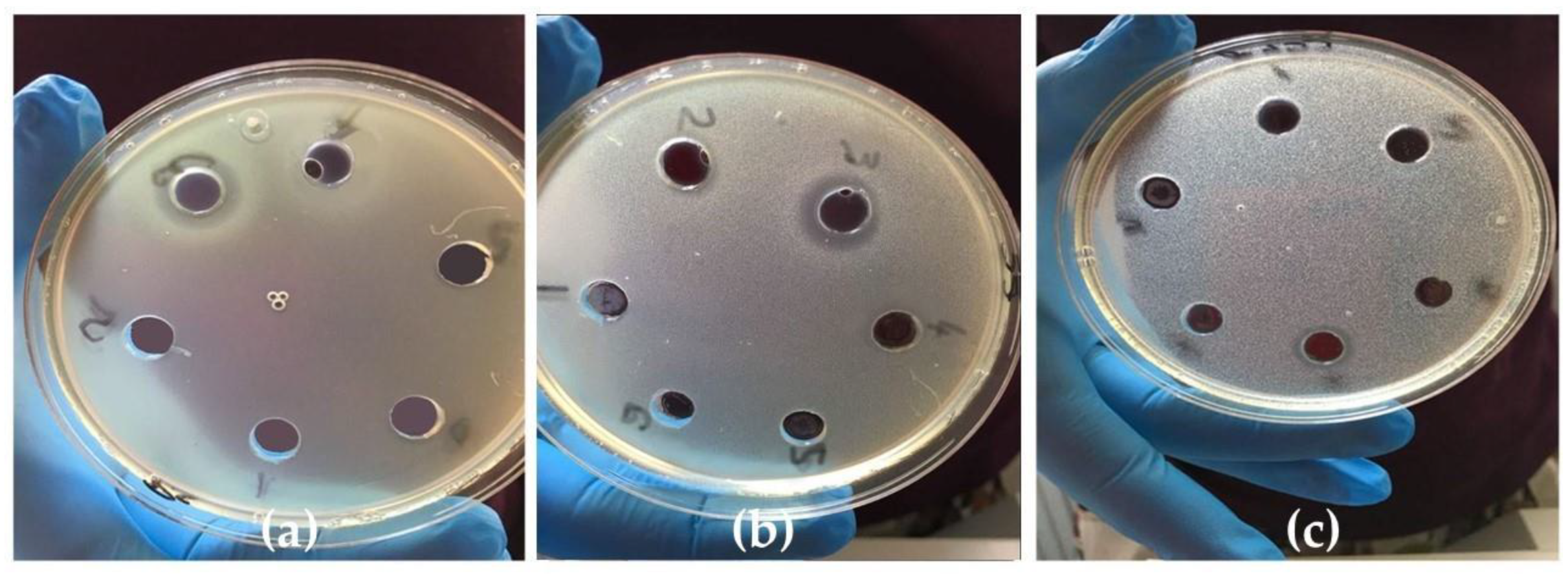 Processes 10 00242 g006 550