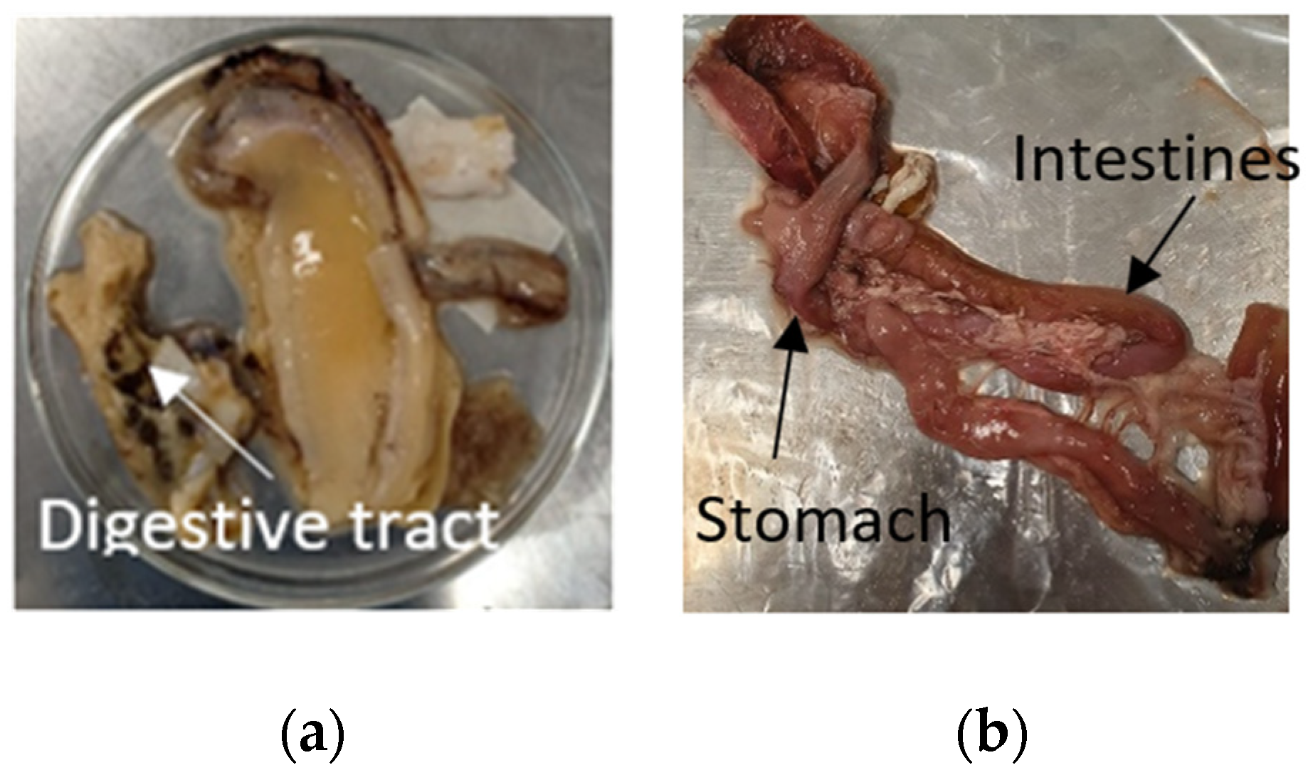 Processes 10 00265 g001
