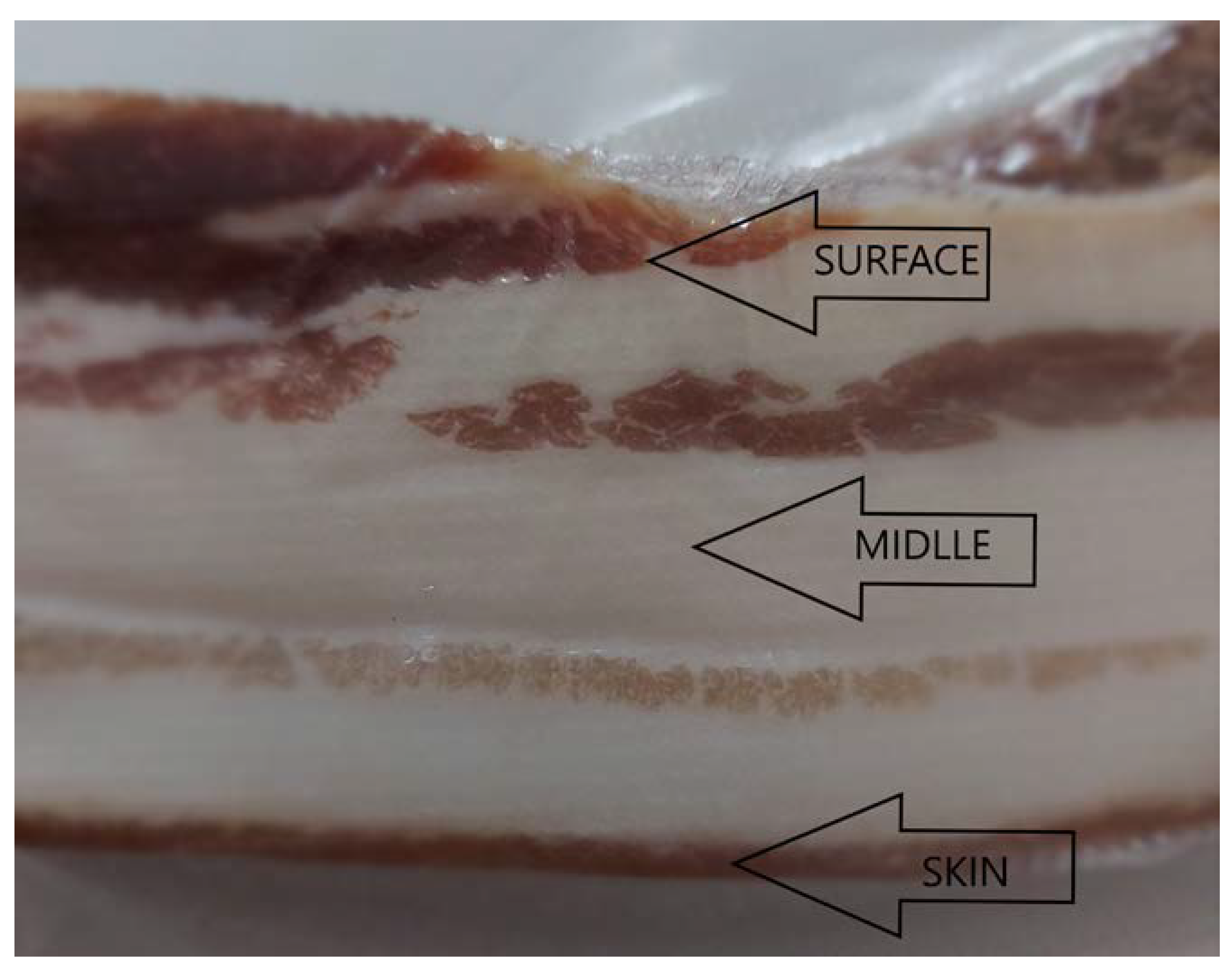 Processes 10 00268 g001