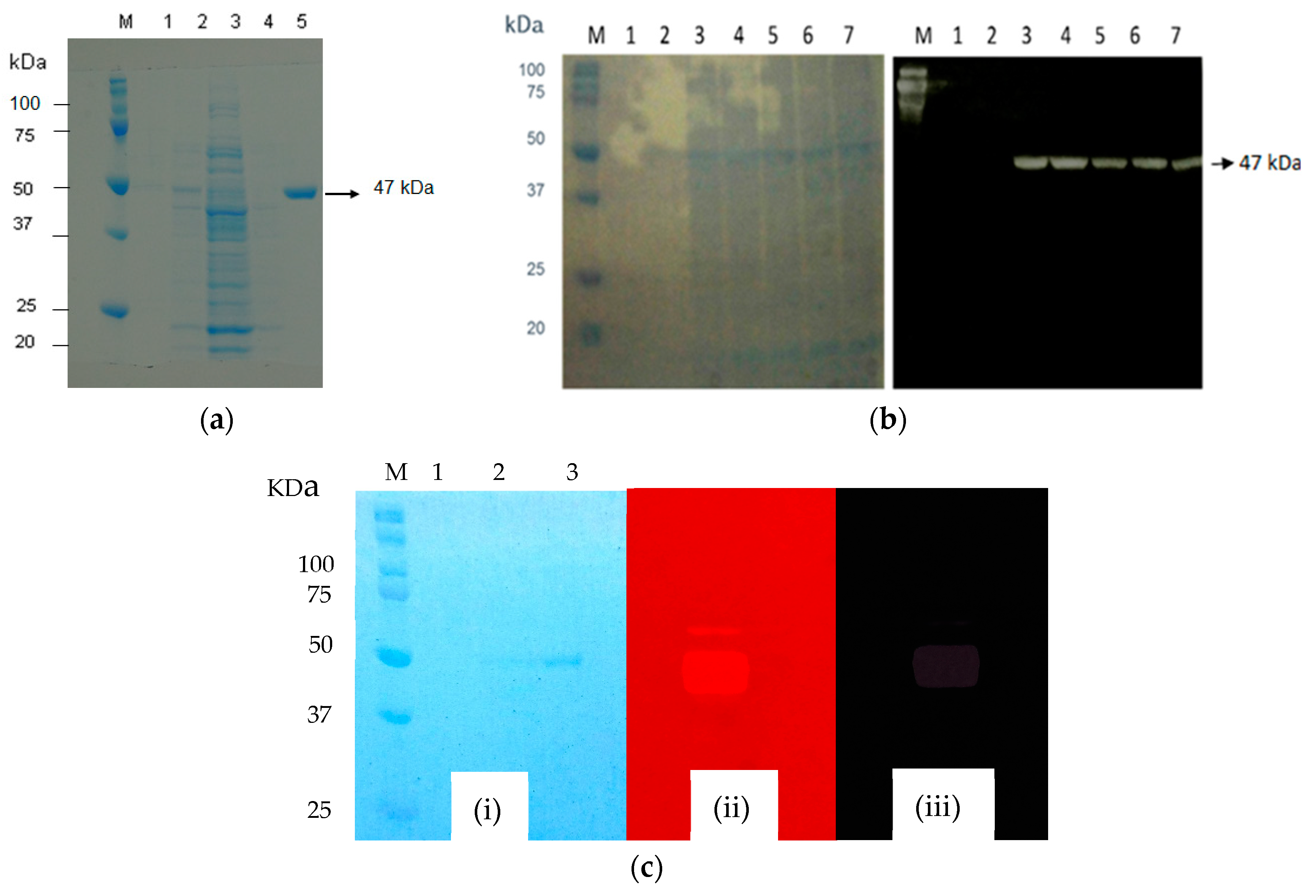 Processes 10 00269 g004