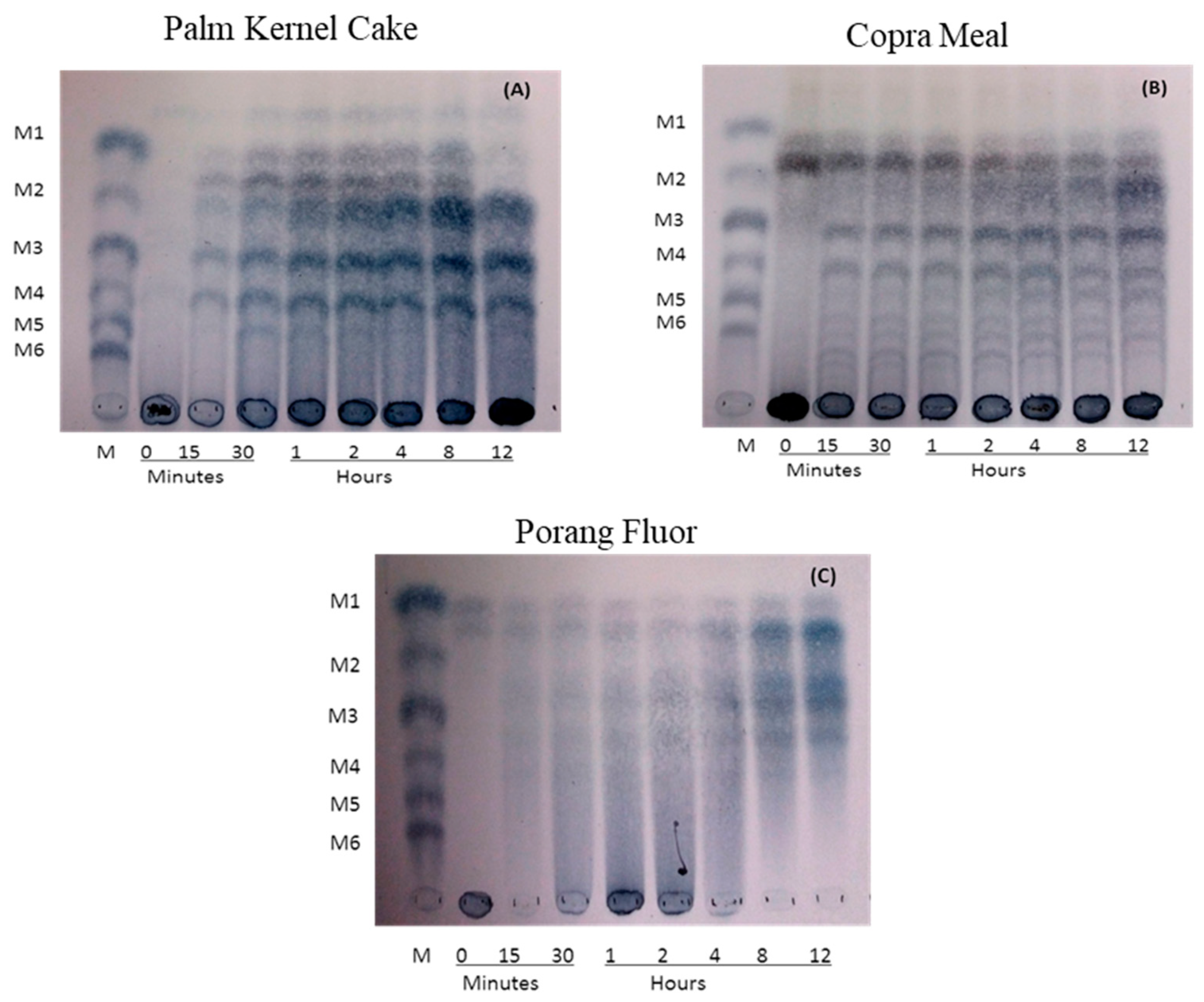 Processes 10 00269 g007