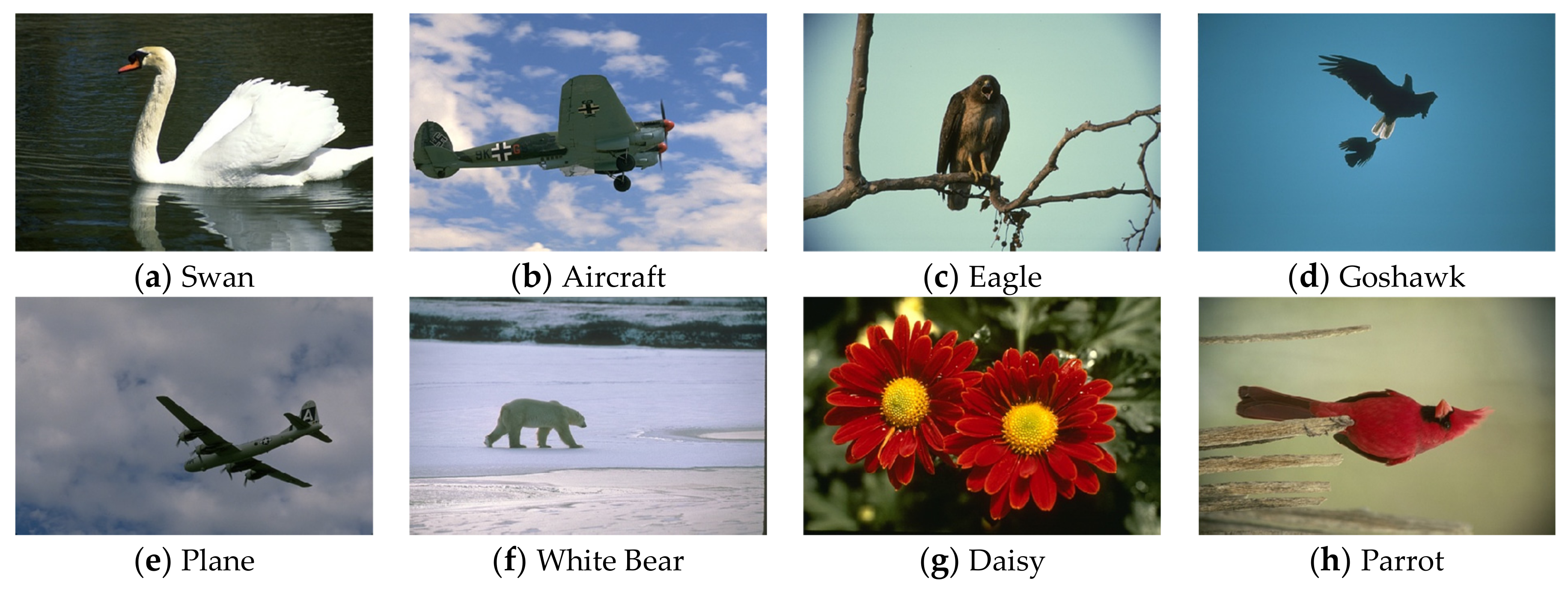 Processes 10 00287 g007 550