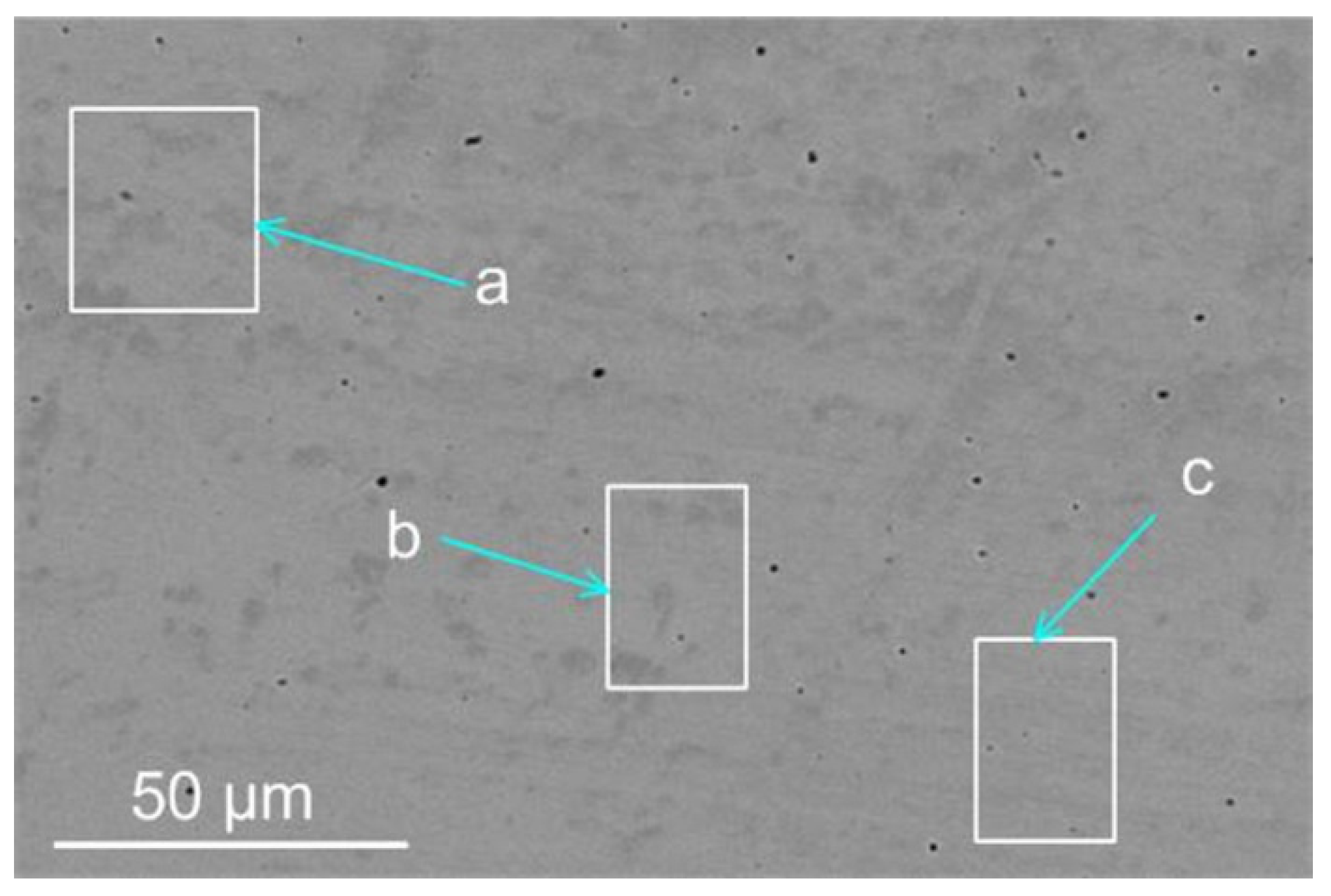 Processes 10 00296 g001 550