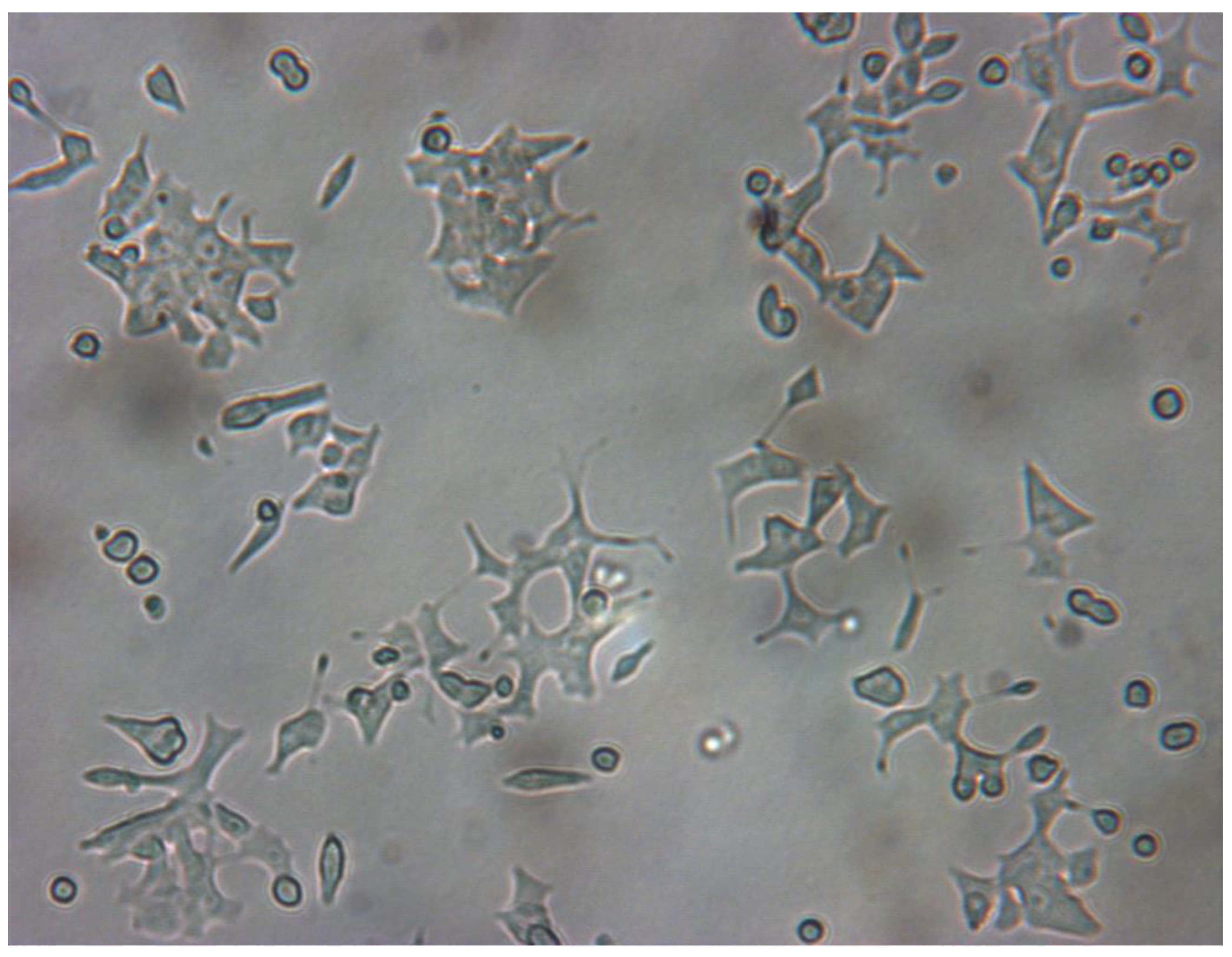 Processes 10 00310 g006