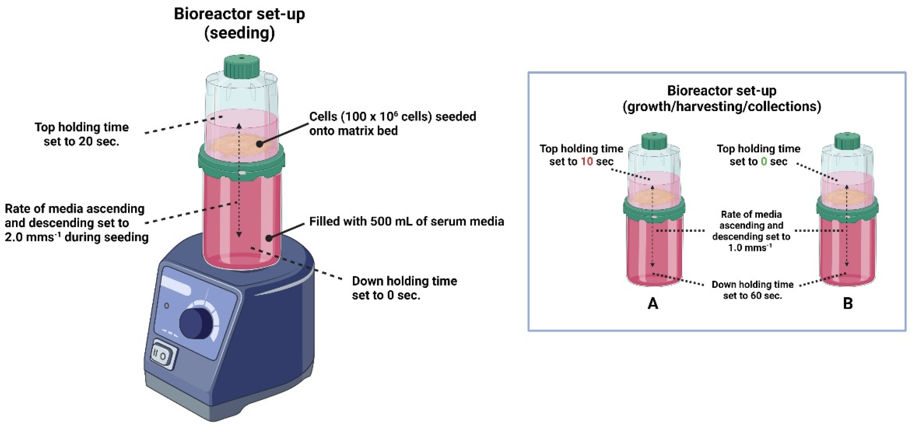 Processes 10 00322 g002