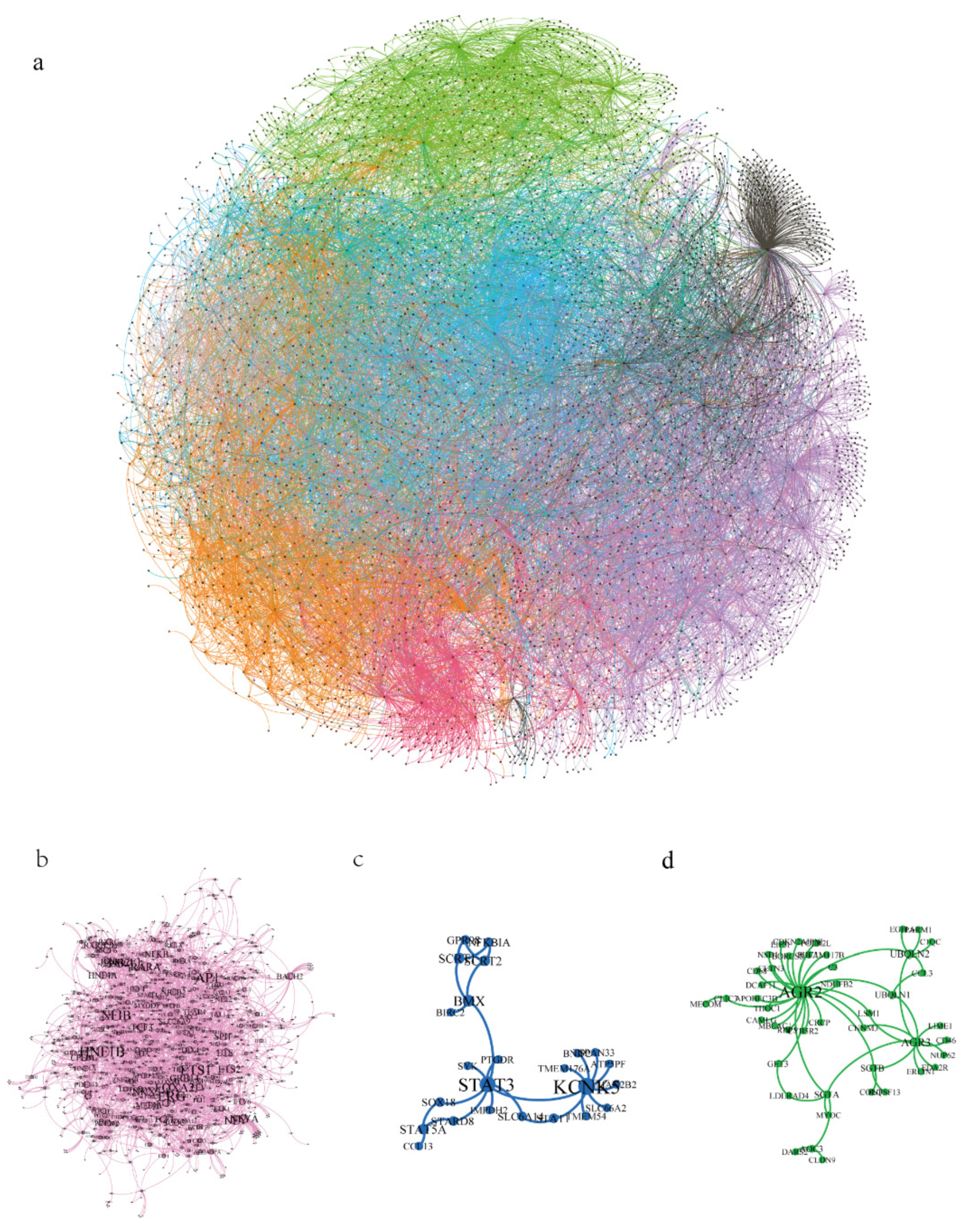 Processes 10 00326 g005