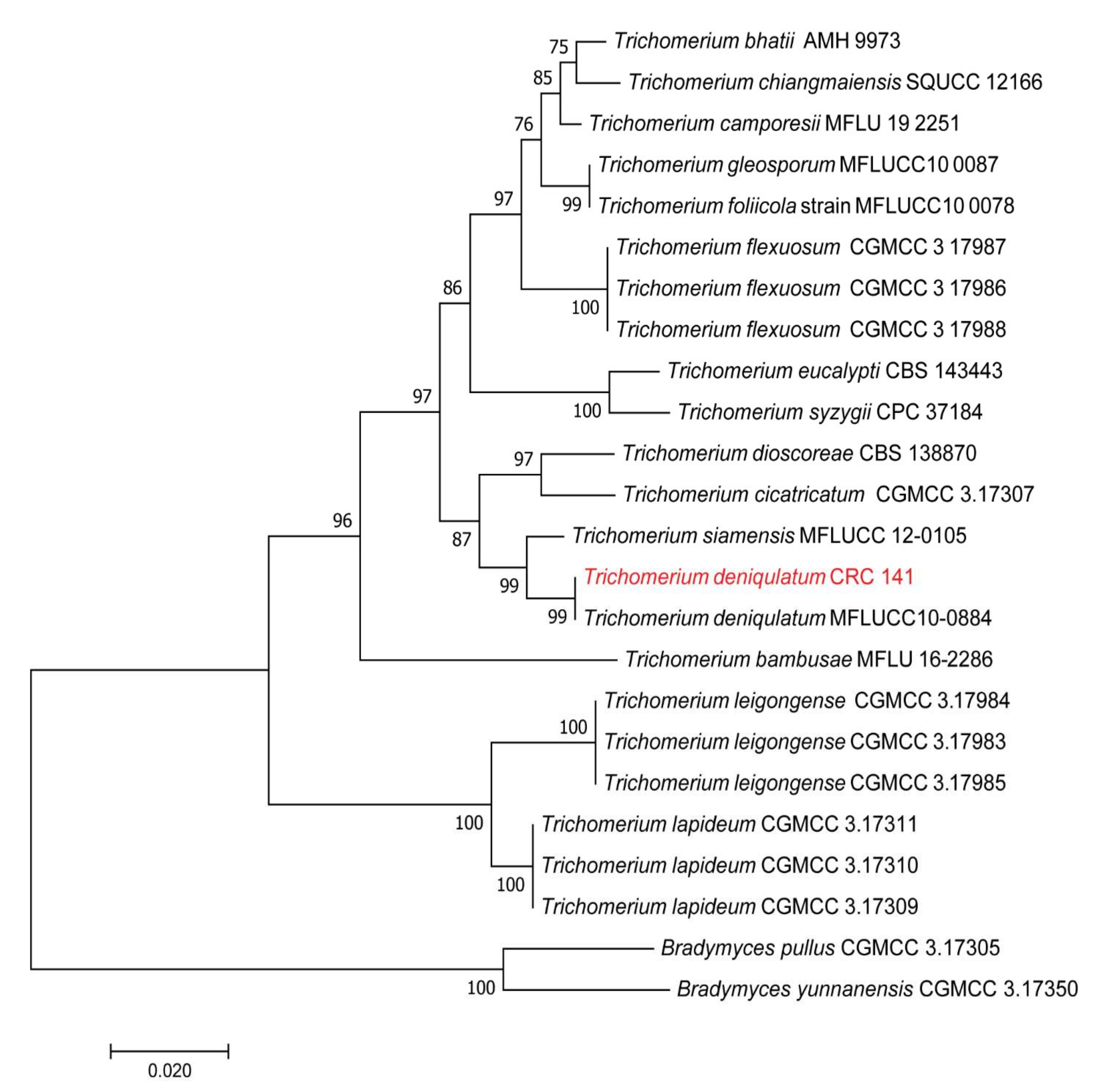 Processes 10 00329 g002