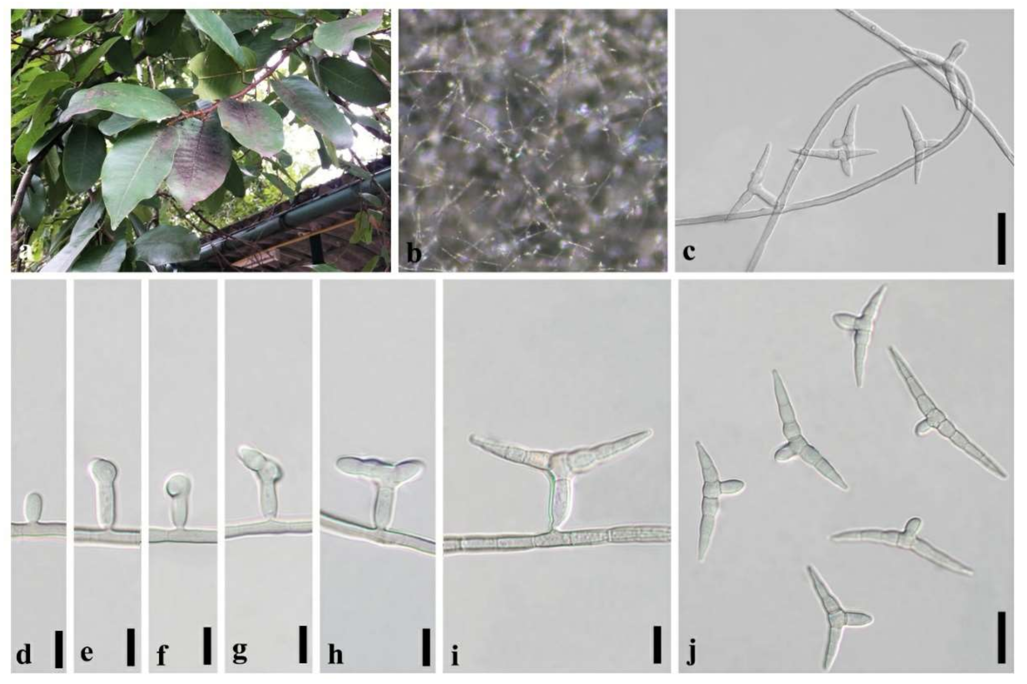 Processes 10 00329 g005