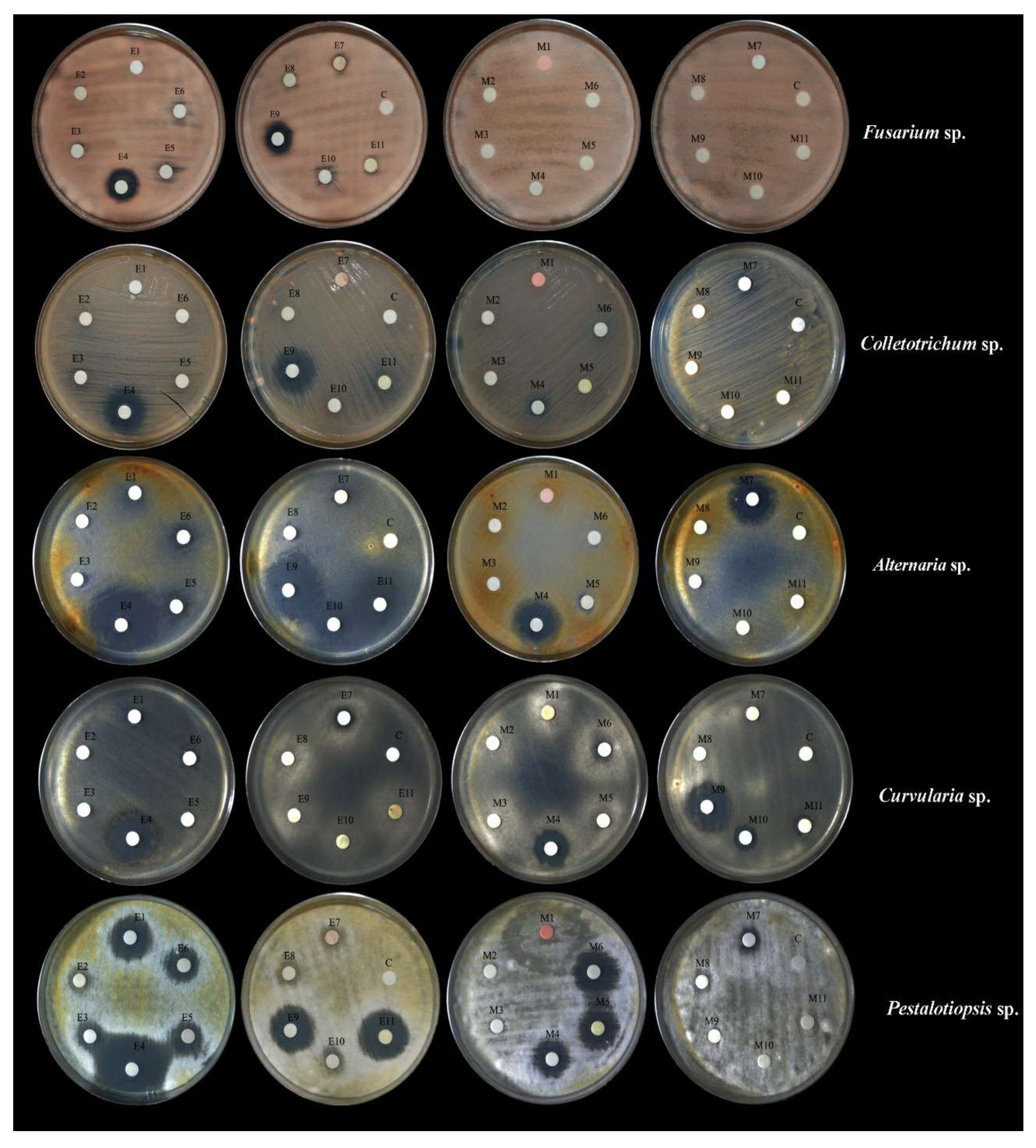 Processes 10 00329 g006