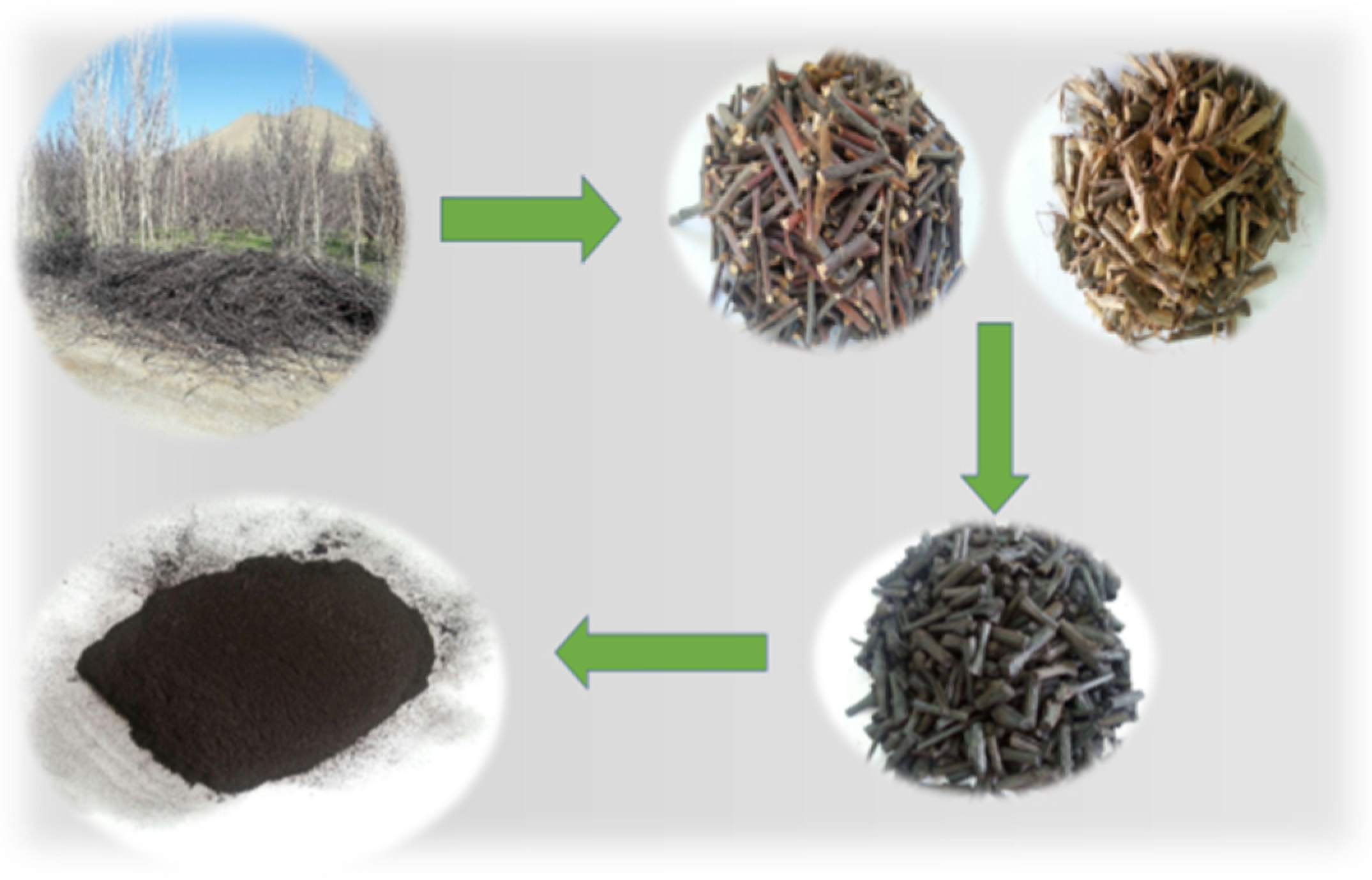 Processes 10 00343 g001 550