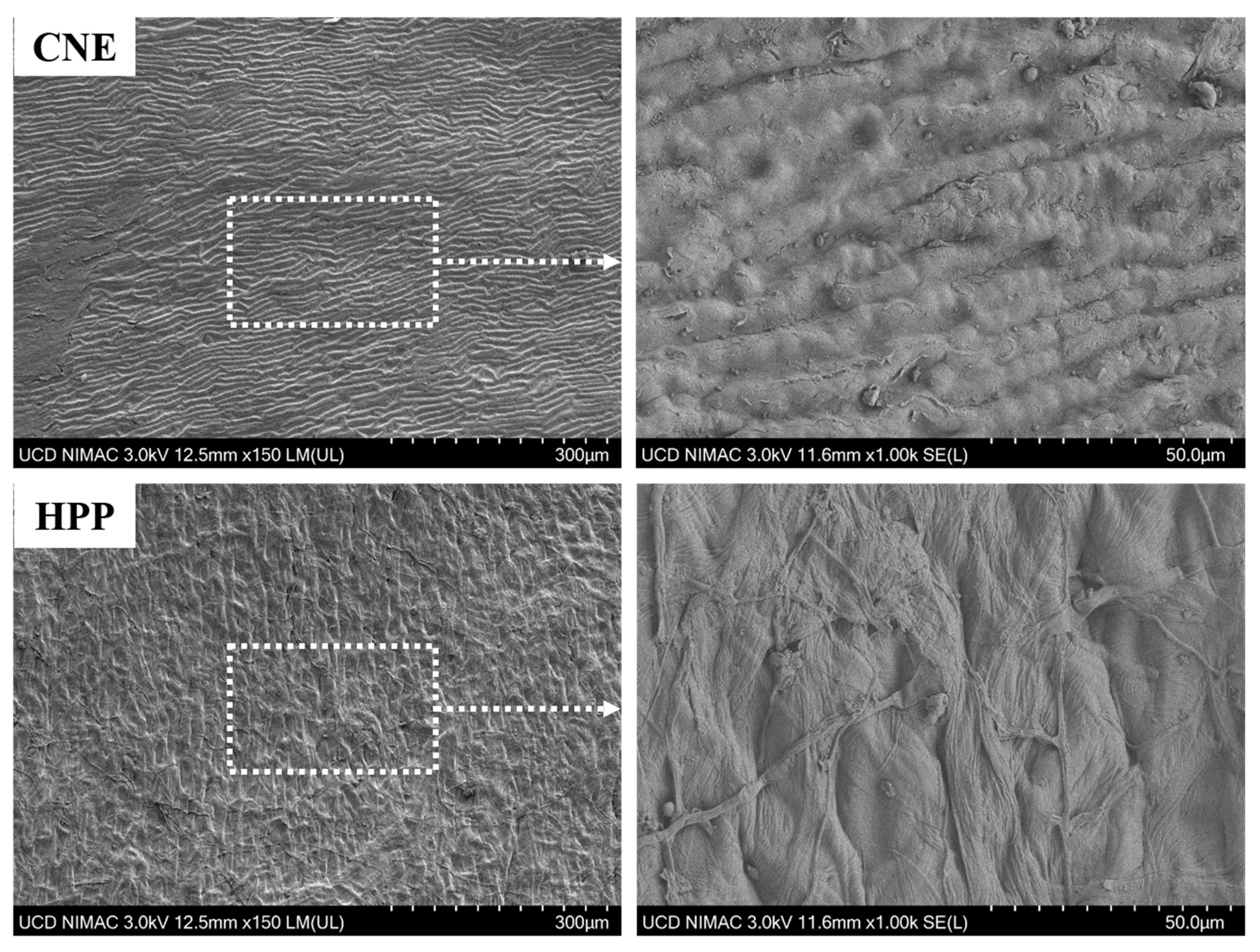 Processes 10 00365 g006 550