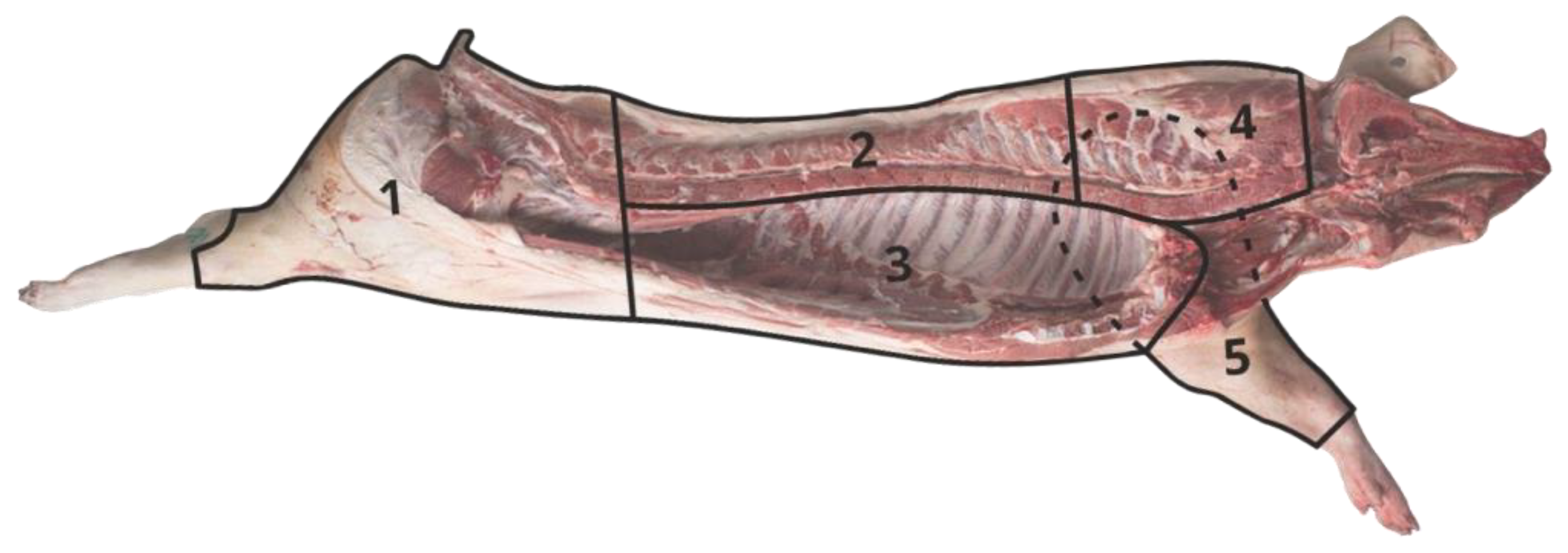 Processes 10 00370 g001 550