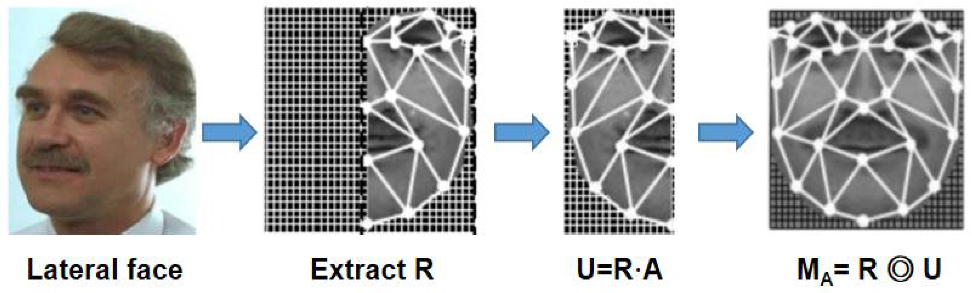 Processes 10 00380 g005 550