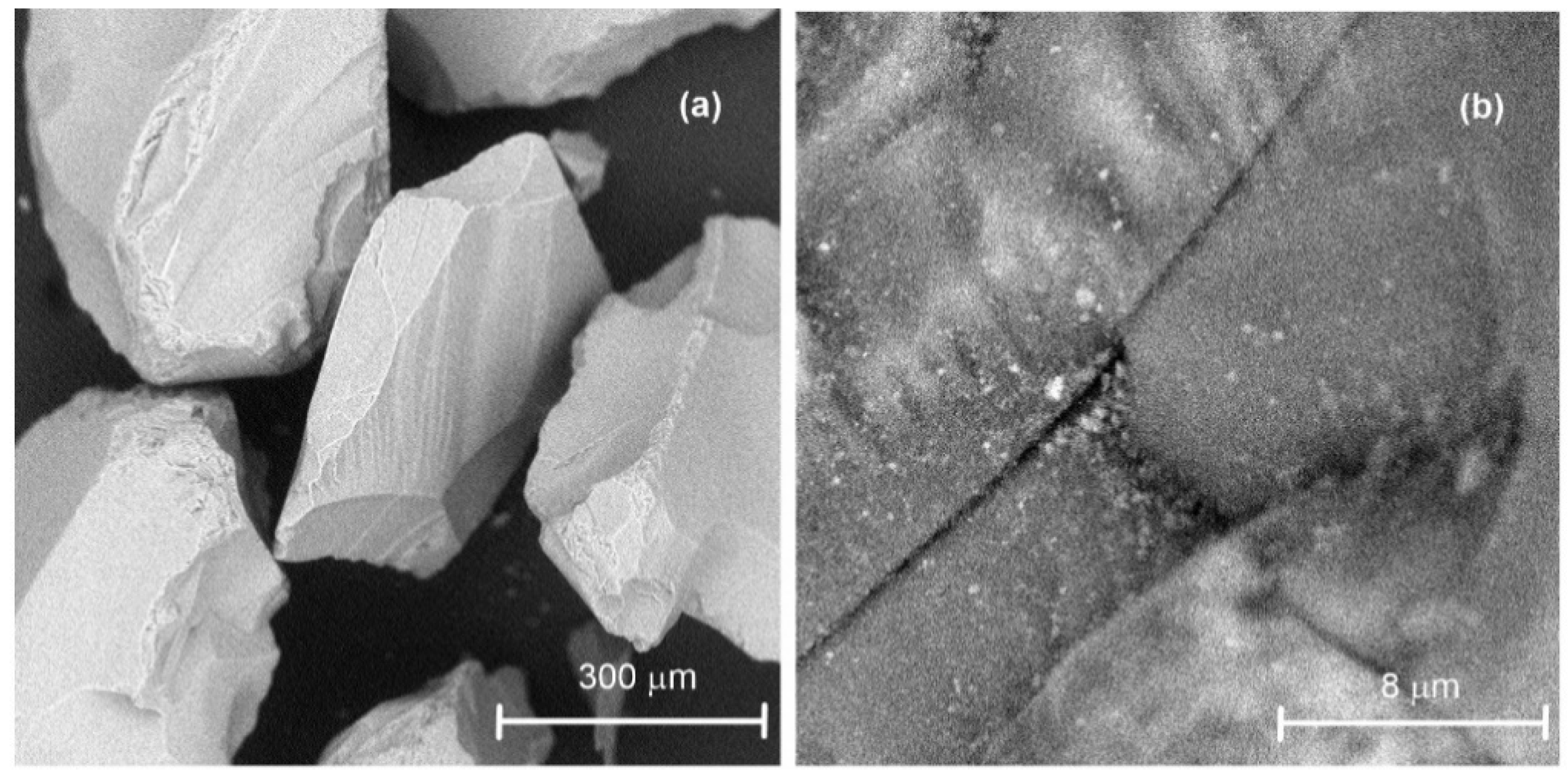 Processes 10 00422 g005 550