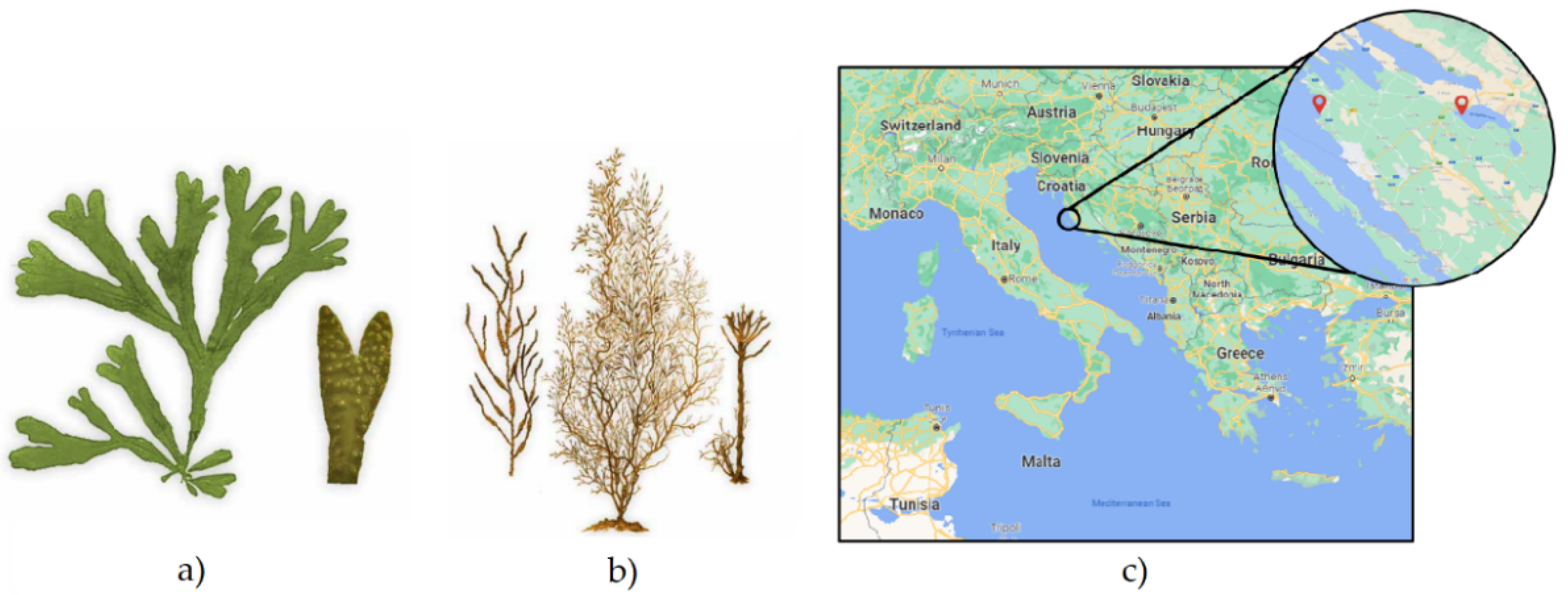 Processes 10 00433 g001