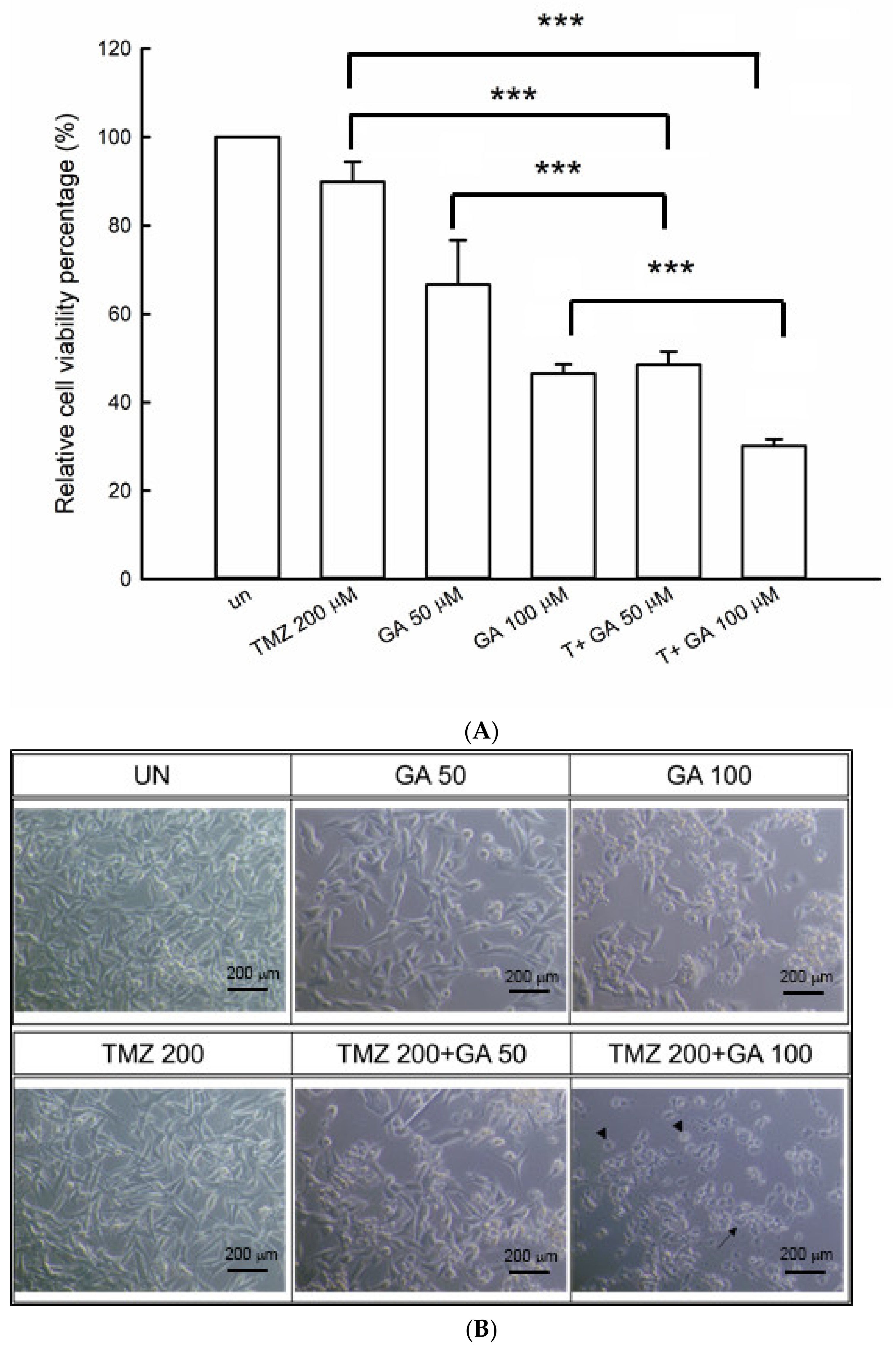 Processes 10 00448 g001