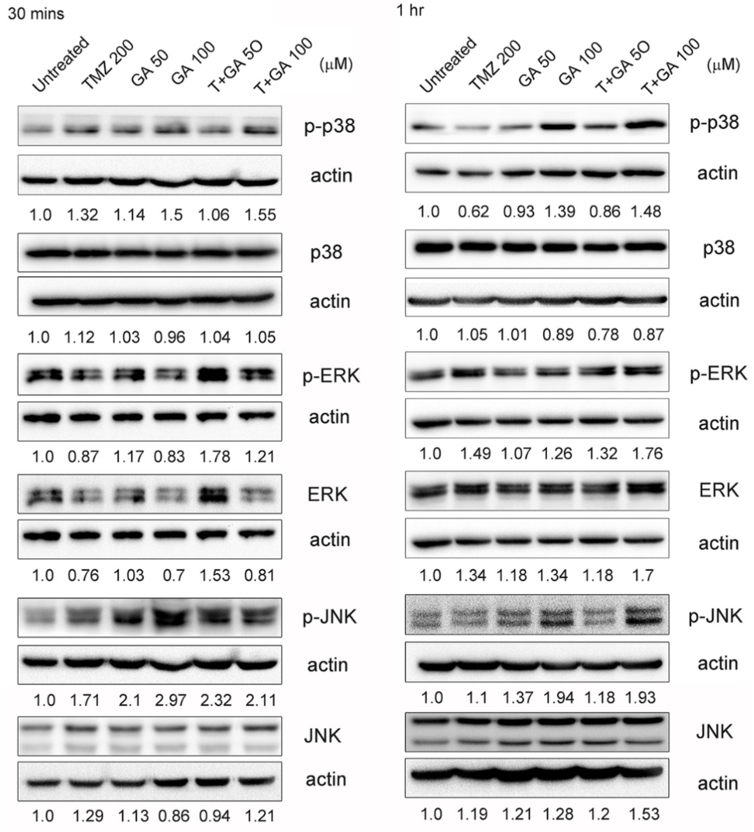 Processes 10 00448 g007