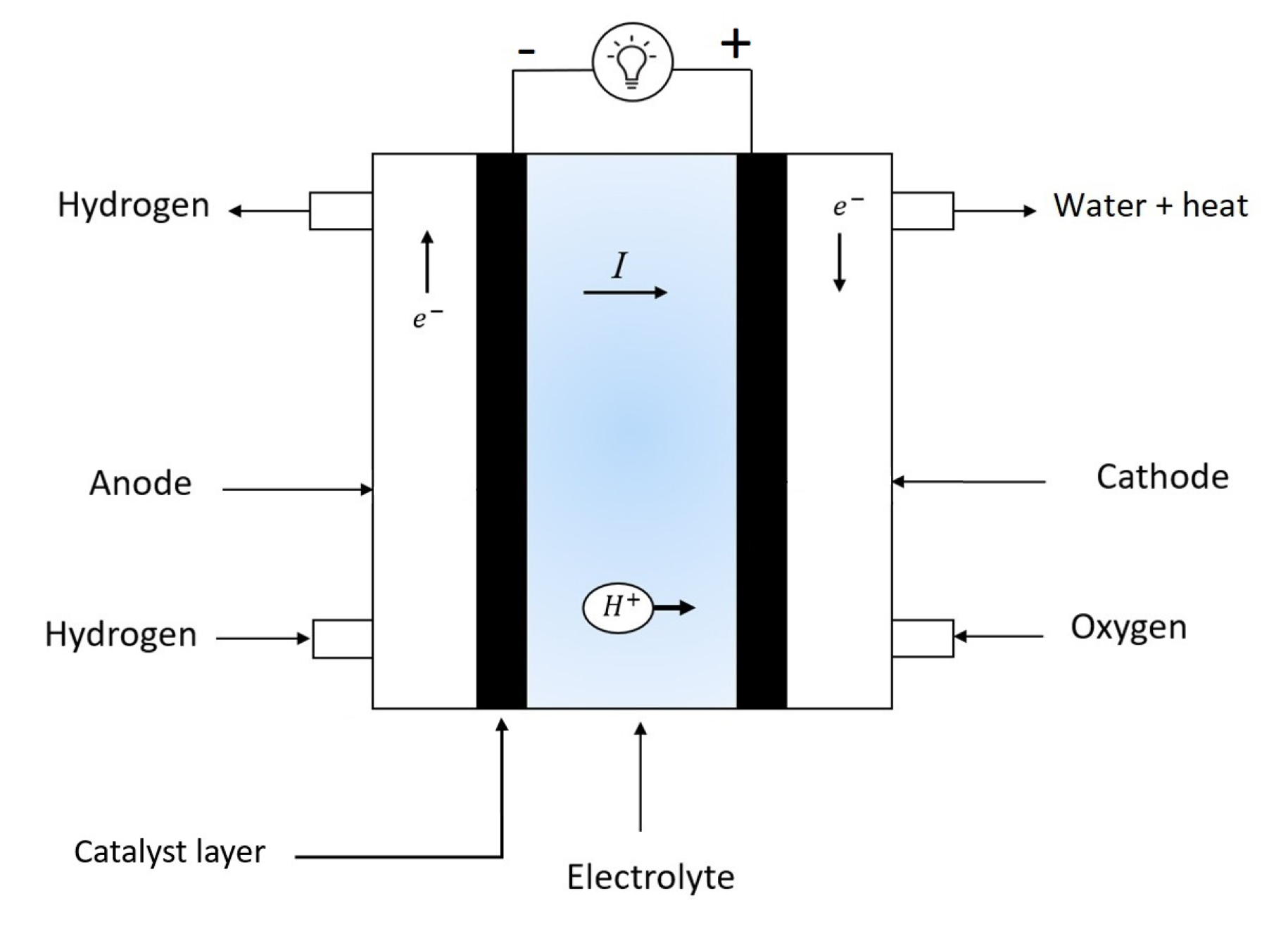 Processes 10 00450 g001