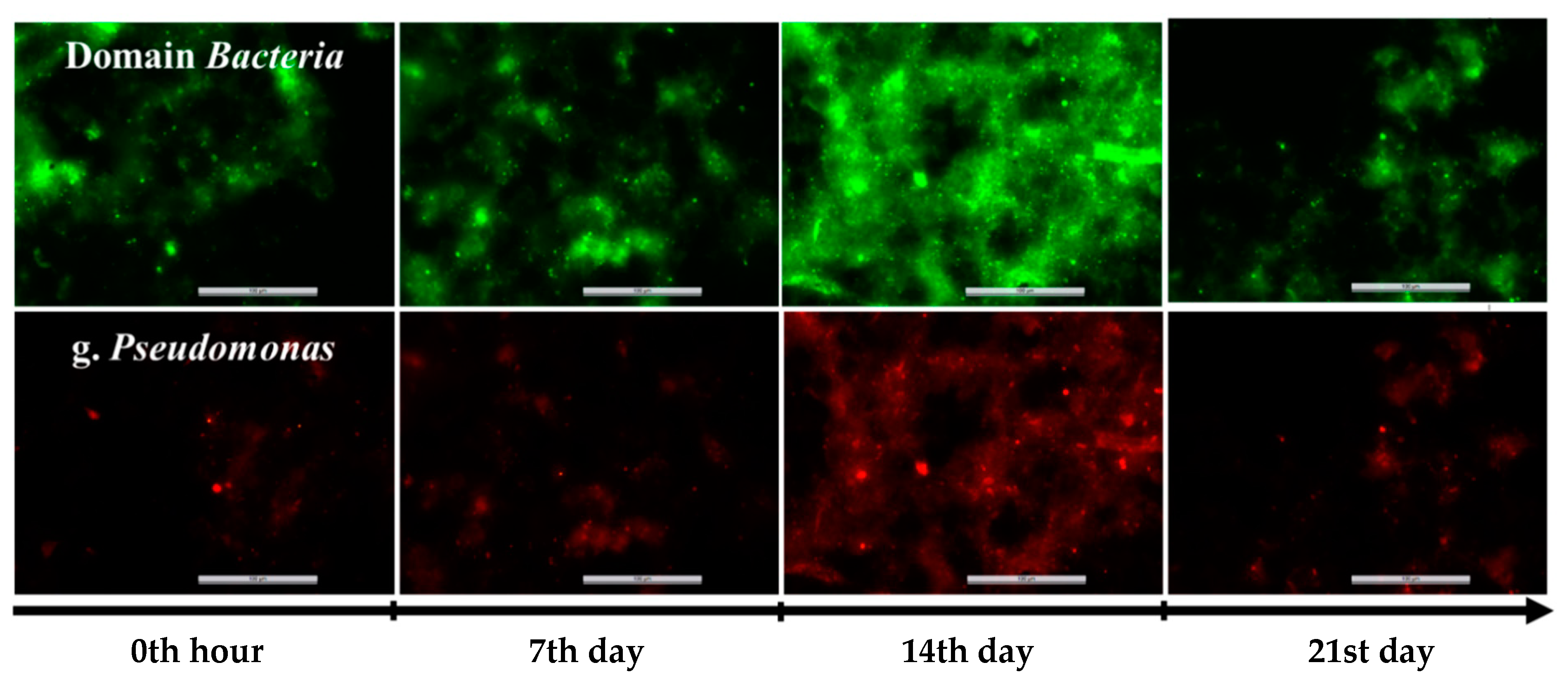 Processes 10 00460 g010