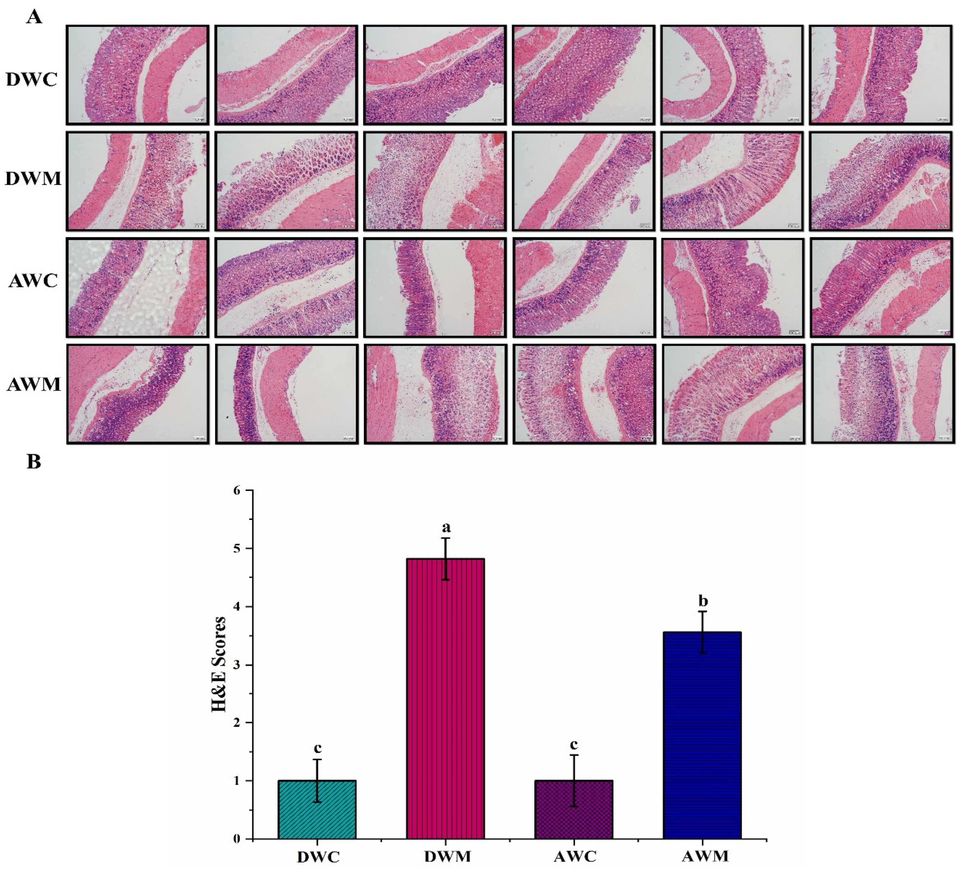 Processes 10 00498 g002 Processes 10 00498 g002