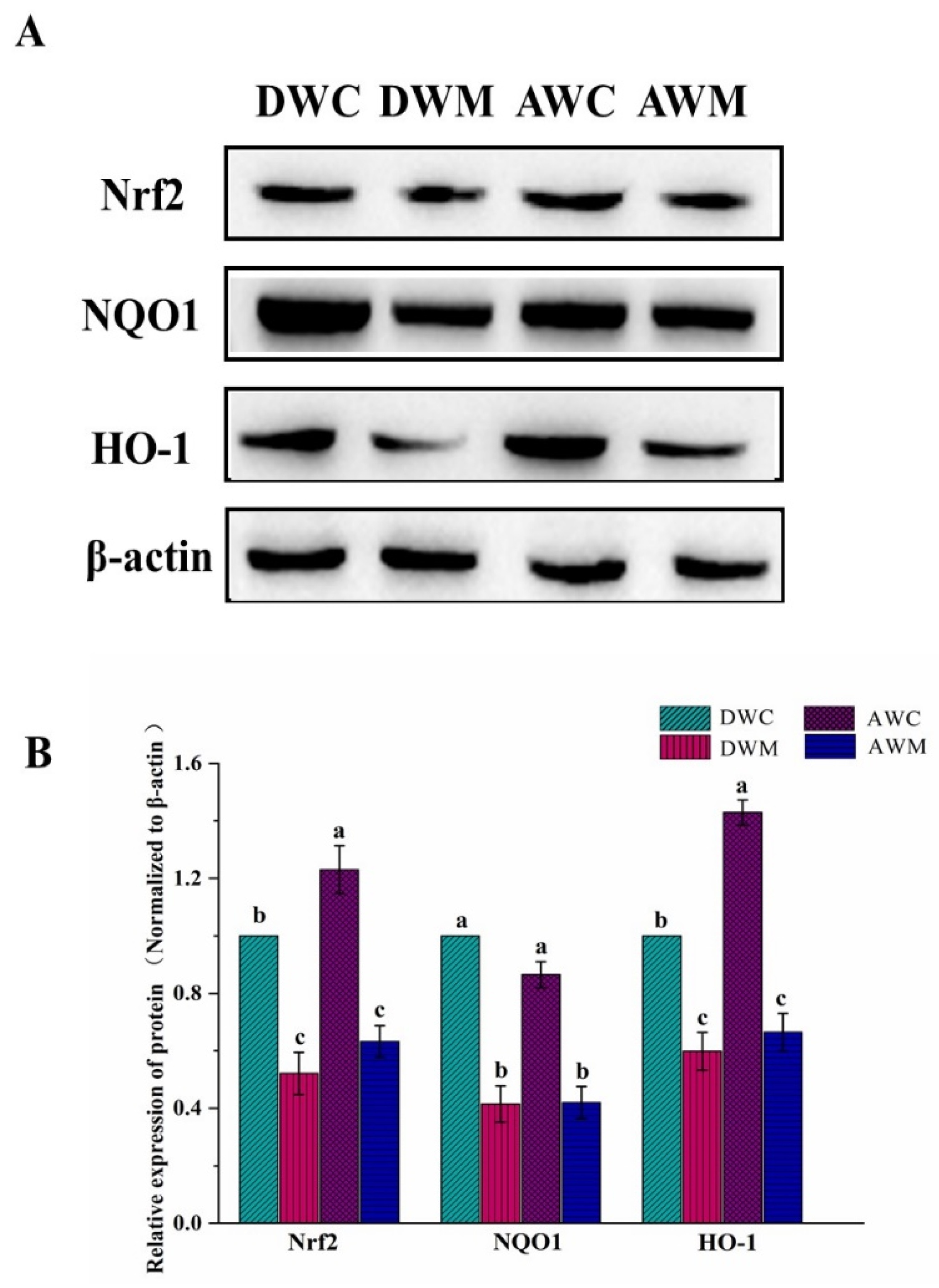 Processes 10 00498 g004 Processes 10 00498 g004