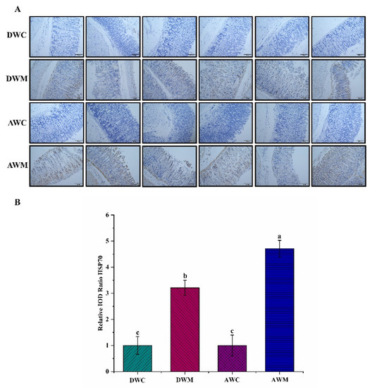 Processes Free FullText Investigation on the Effects and