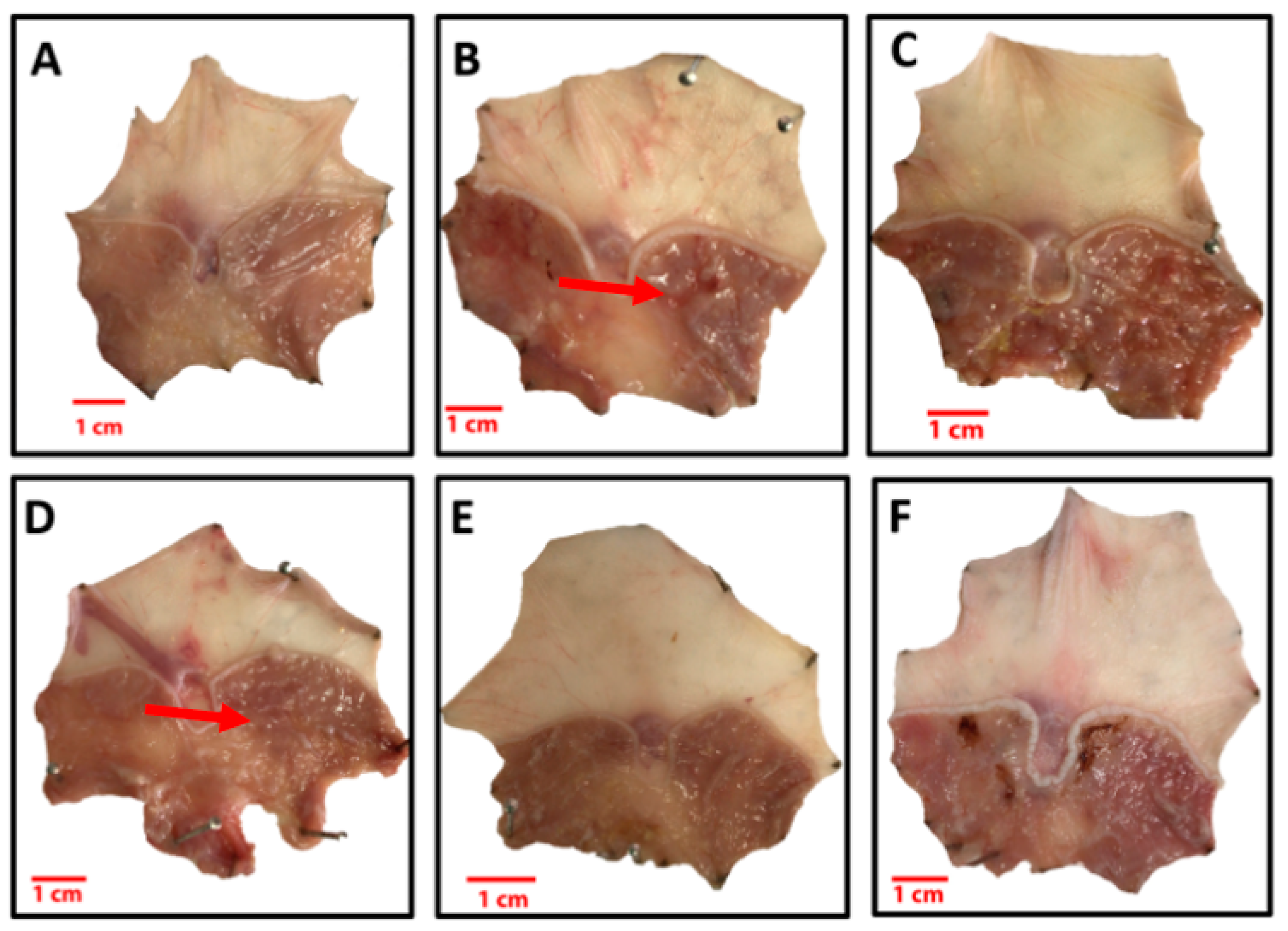 Processes 10 00504 g002 Processes 10 00504 g002