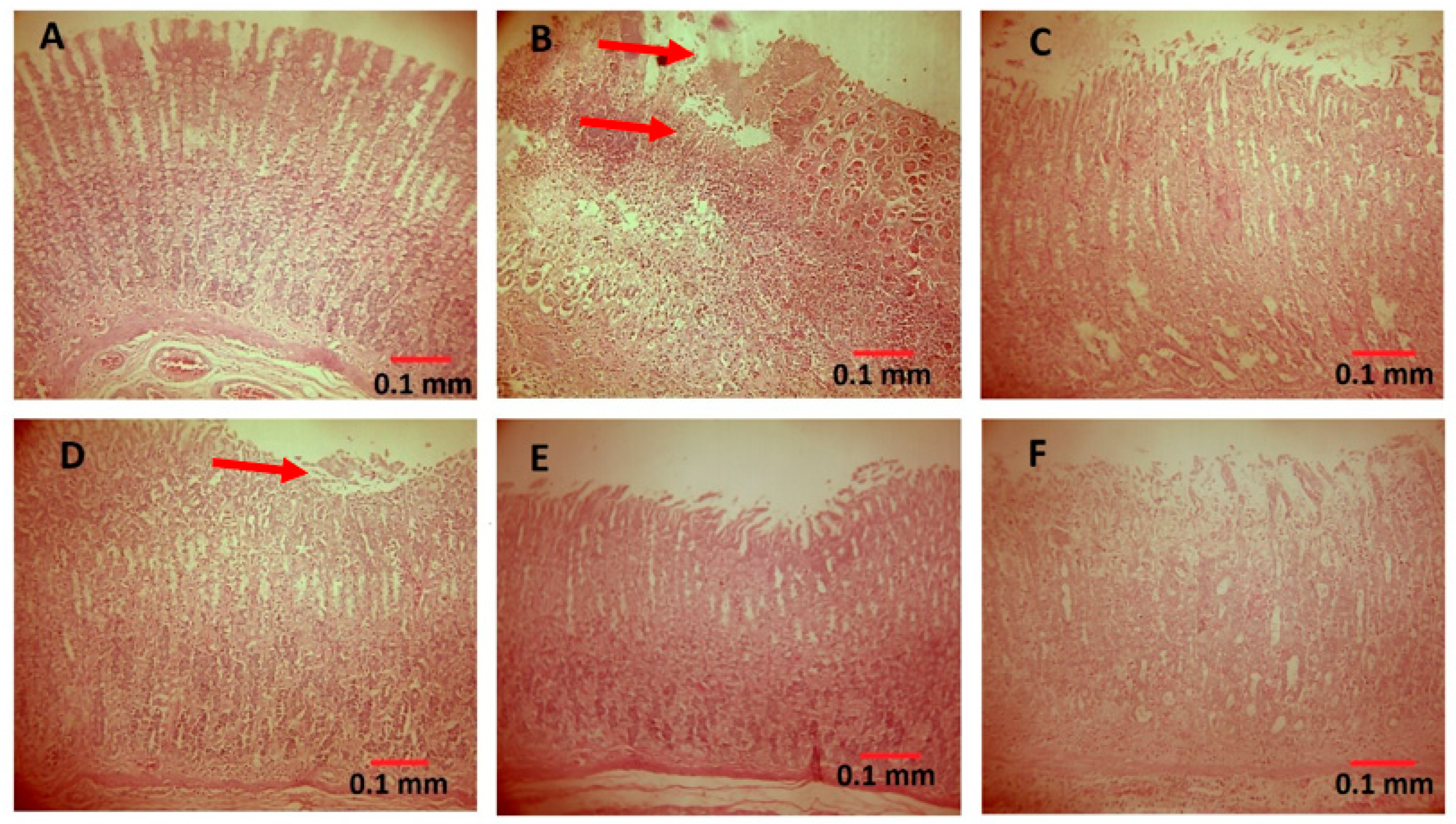 Processes 10 00504 g003 Processes 10 00504 g003