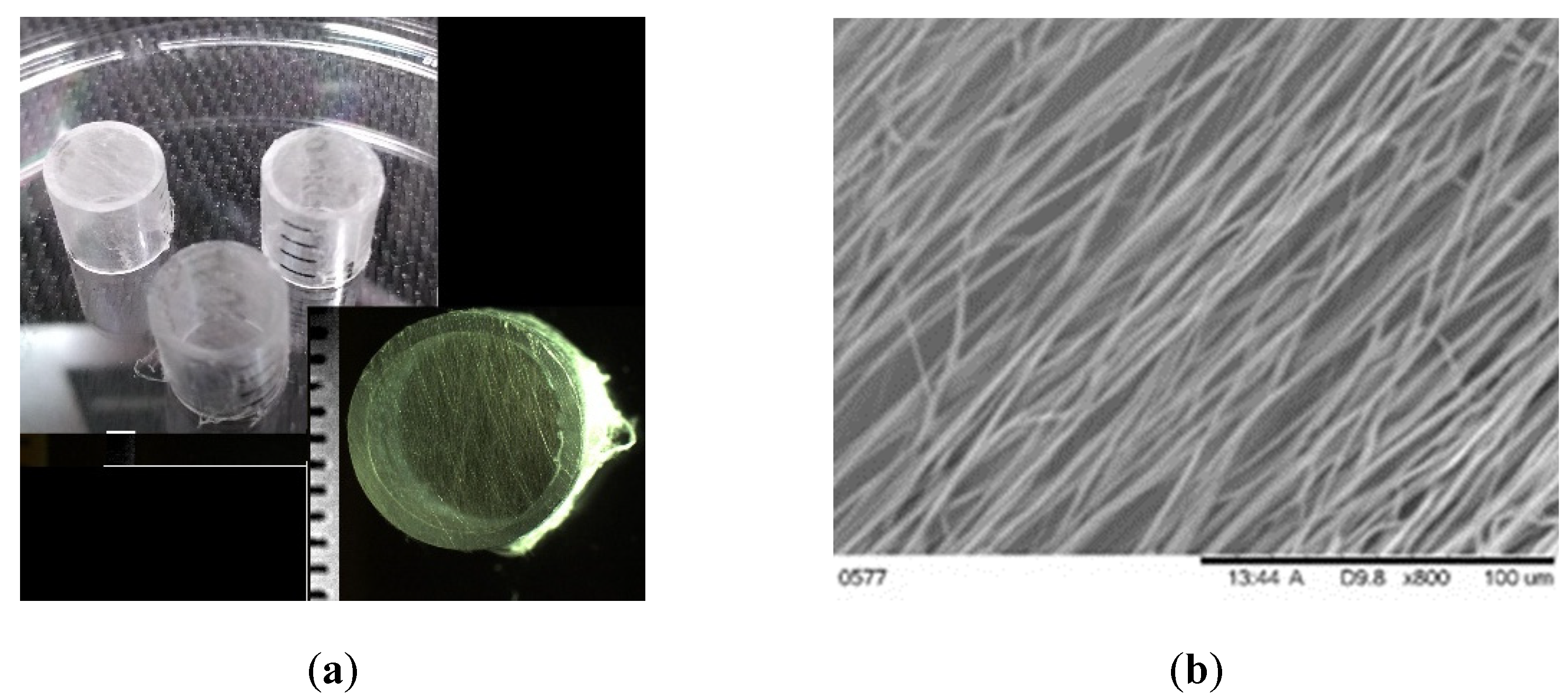 Processes 10 00512 g004 550