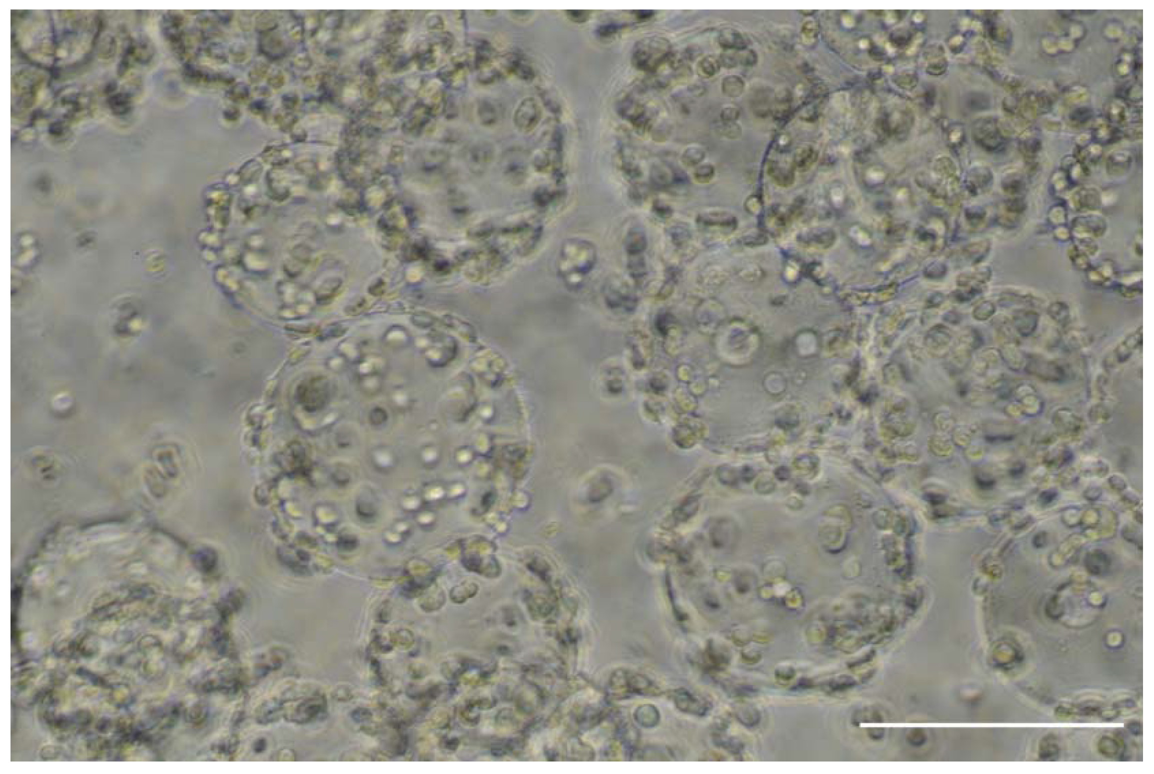 Processes 10 00515 g011 Processes 10 00515 g011