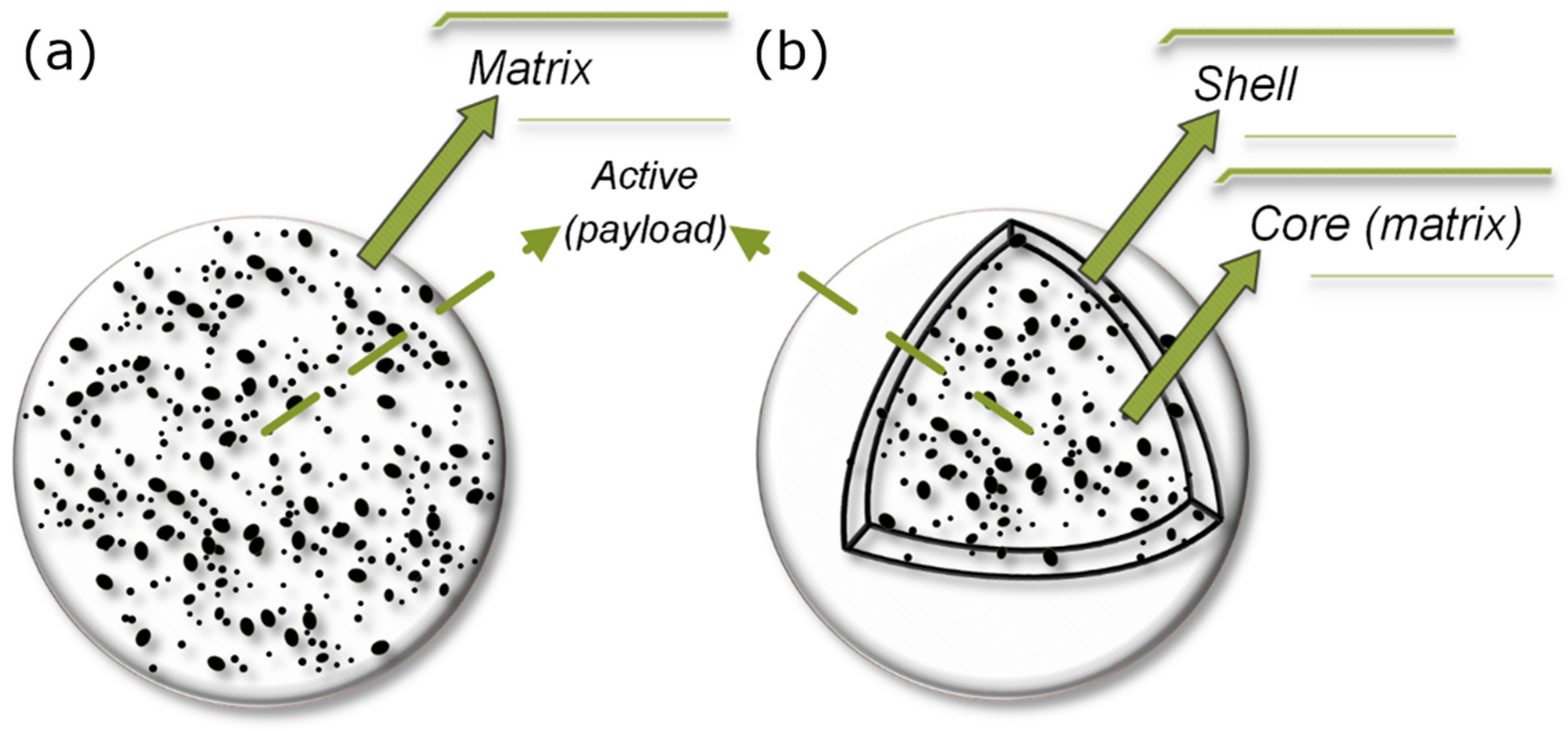 Rennet: Secure The Needs in Your Cheese-making Journey With This Quality  Enzyme