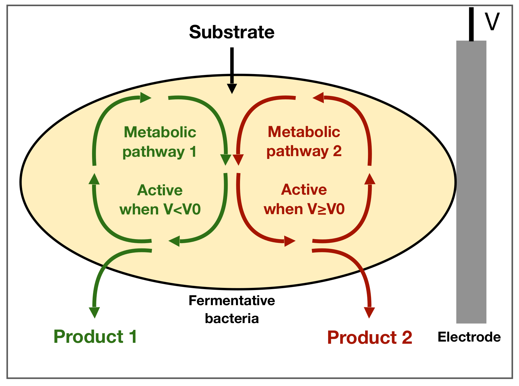 Processes 10 00535 g001