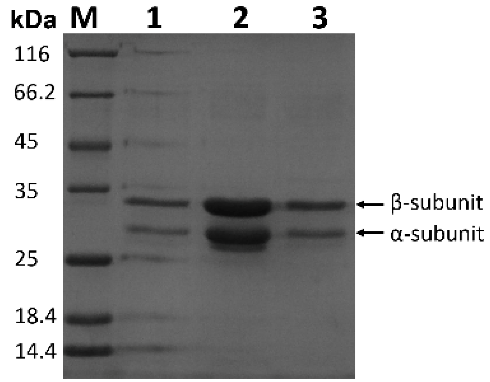 Processes 10 00544 g002
