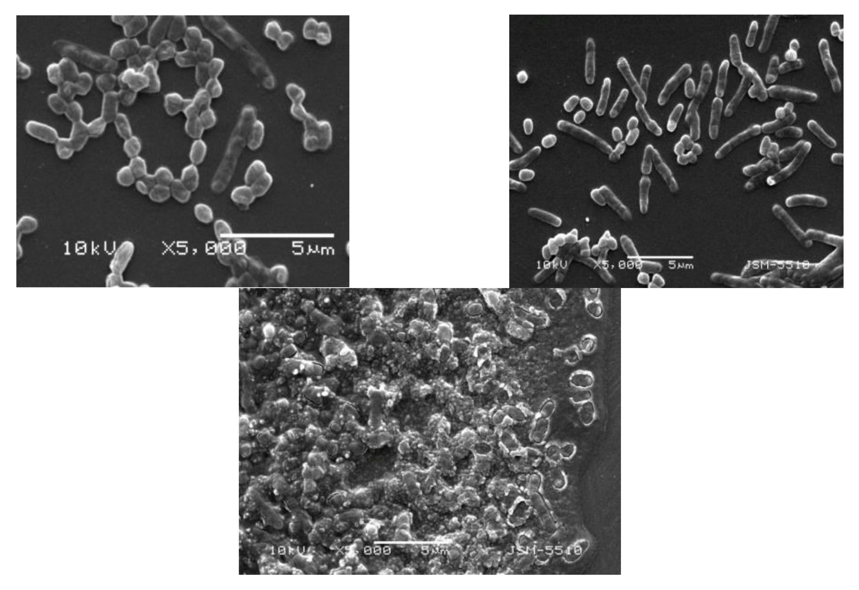 Processes 10 00554 g004 Processes 10 00554 g004