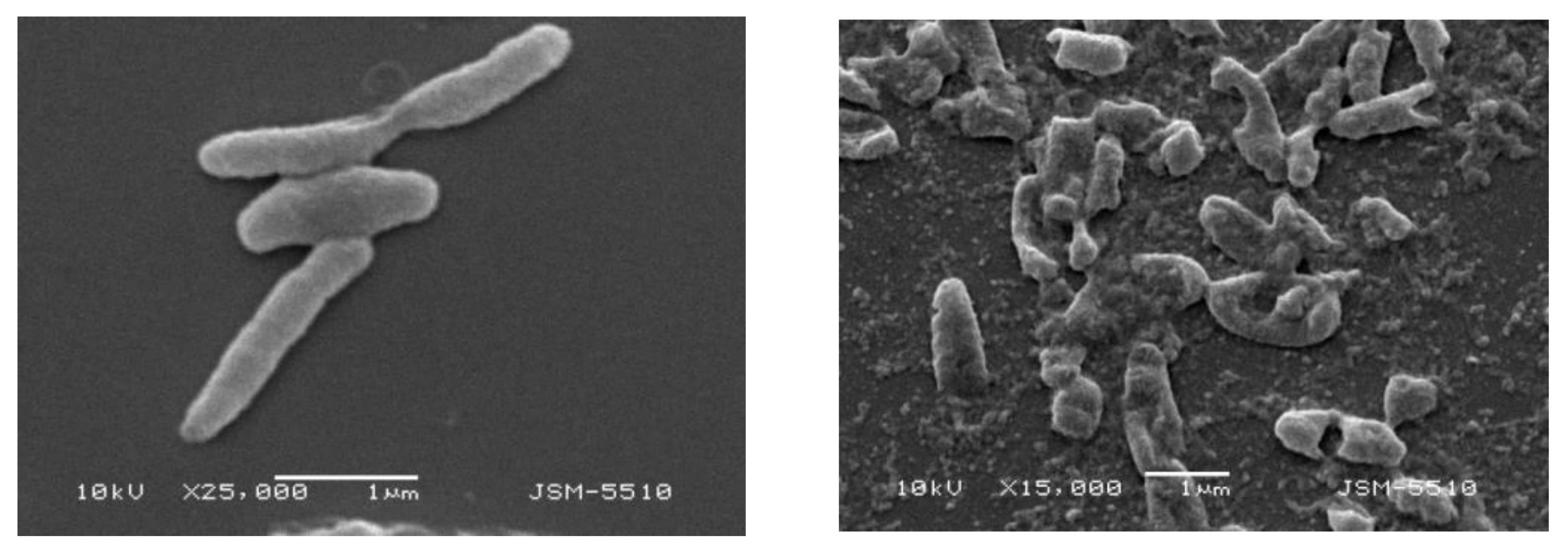 Processes 10 00554 g005 Processes 10 00554 g005