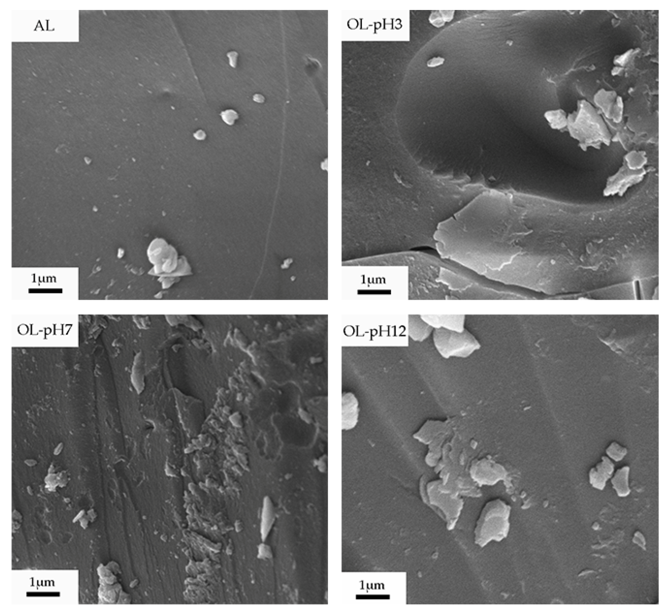Processes 10 00559 g001