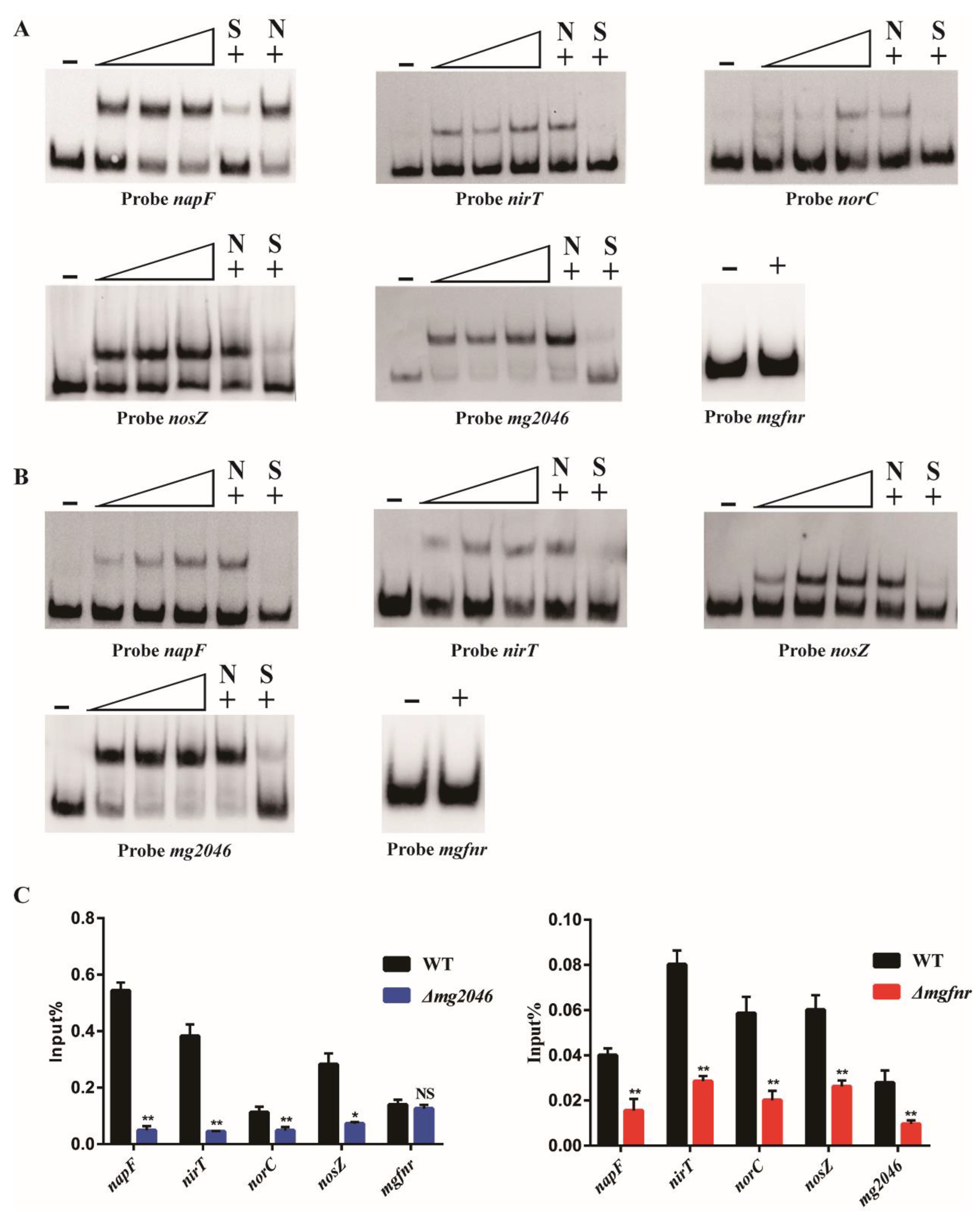 Processes 10 00591 g001 550