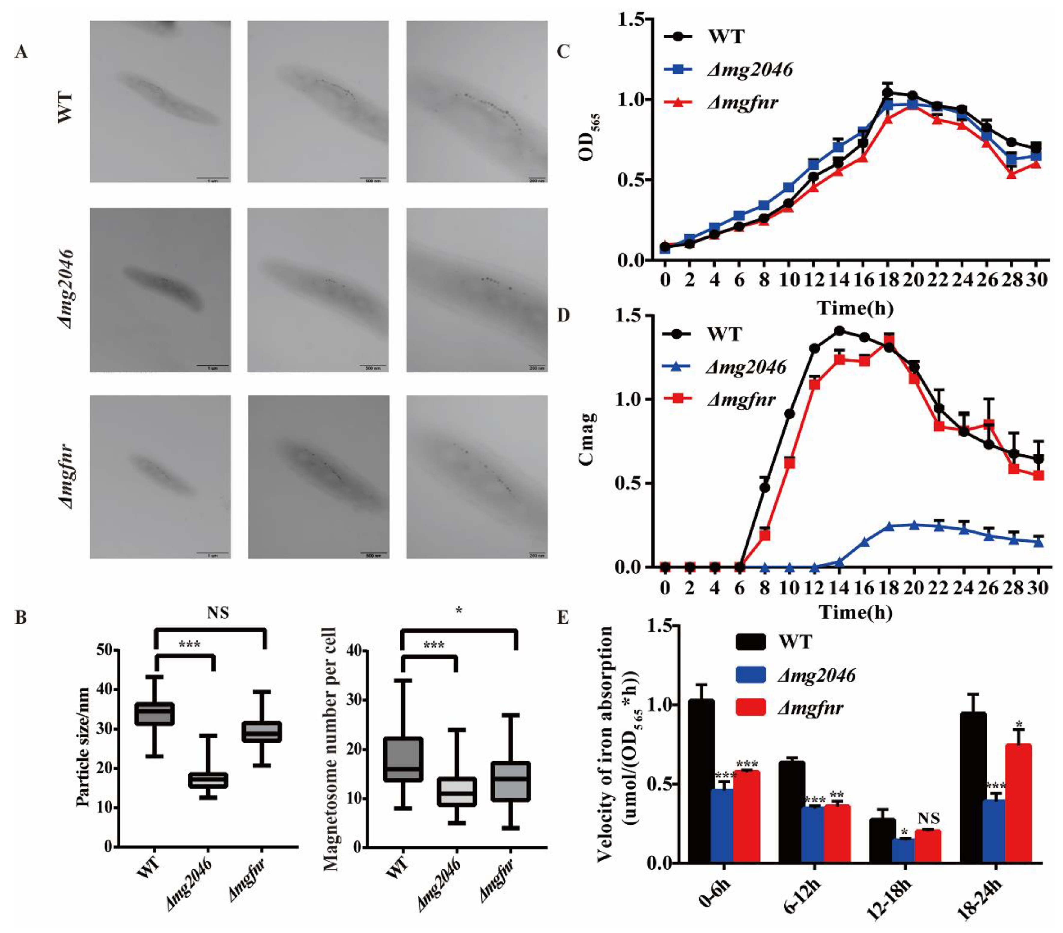 Processes 10 00591 g003 550
