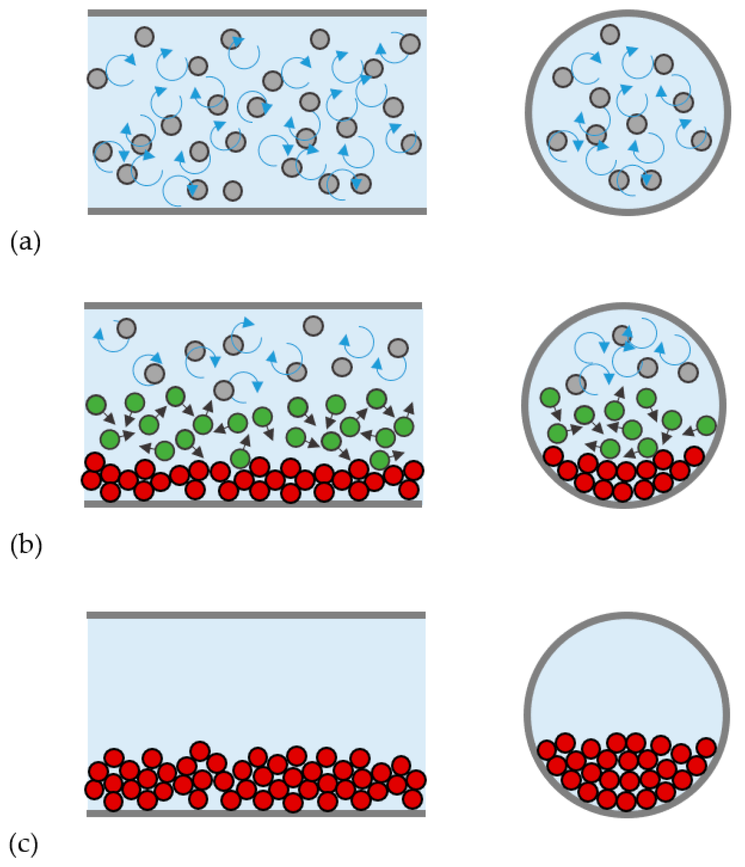 Processes | Free Full-Text | Experimental Characterization