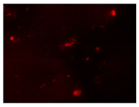 Processes 10 00602 i002