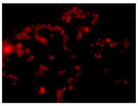 Processes 10 00602 i003