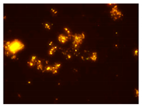 Processes 10 00602 i006