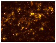 Processes 10 00602 i007