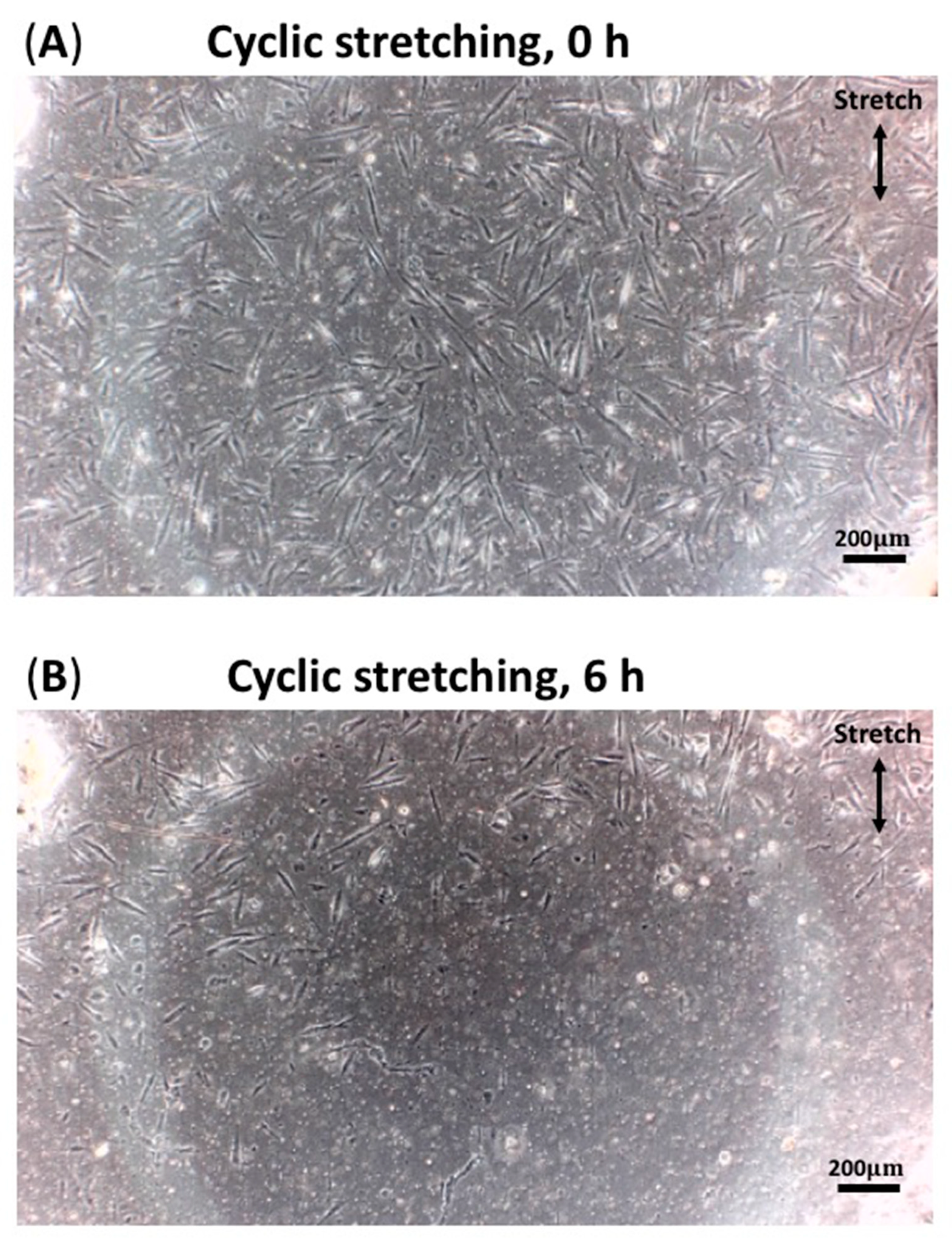 Processes 10 00605 g003 550