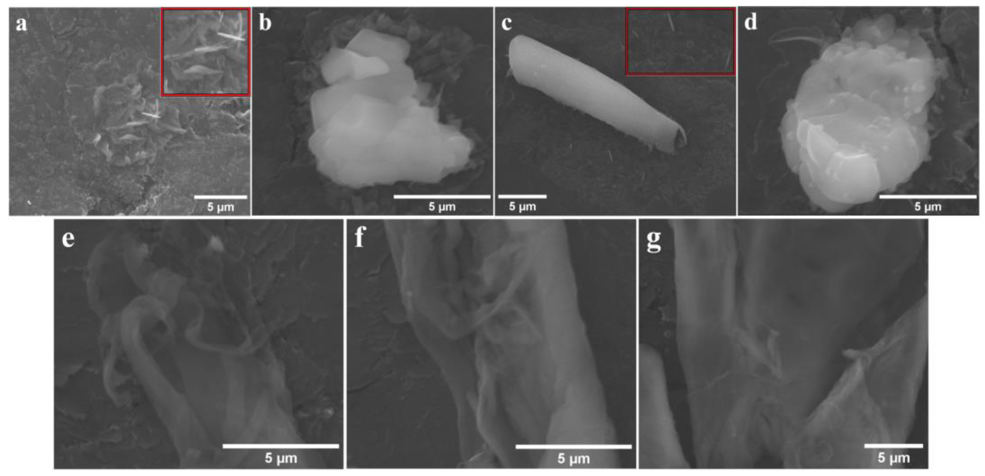 Processes 10 00611 g010 Processes 10 00611 g010