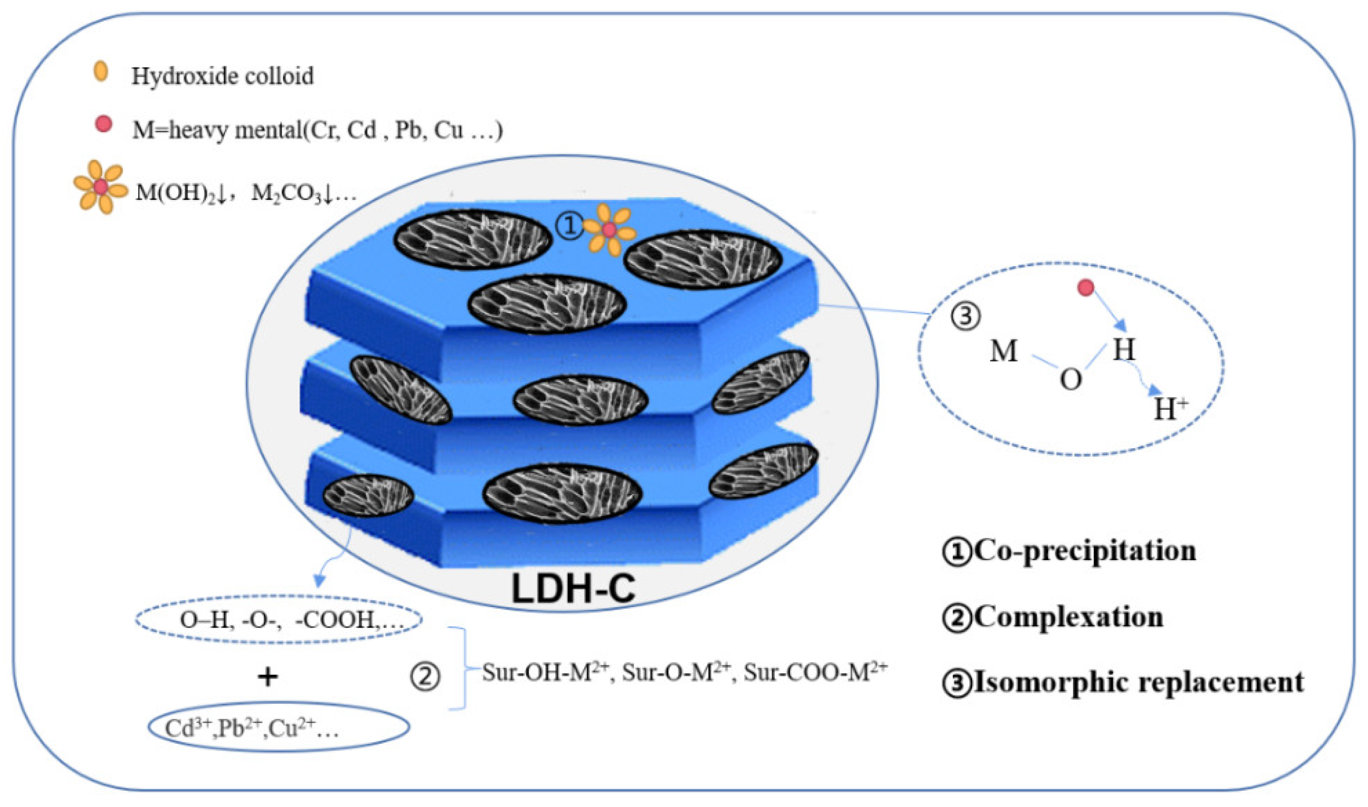 Processes 10 00617 g003