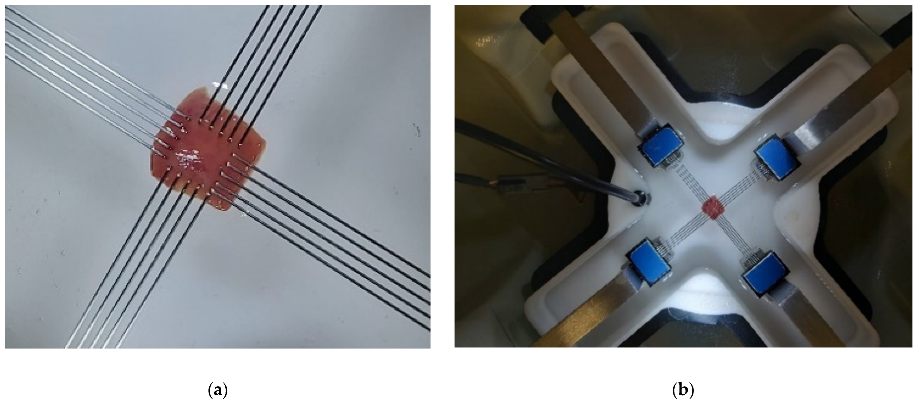 Processes 10 00629 g001 Processes 10 00629 g001