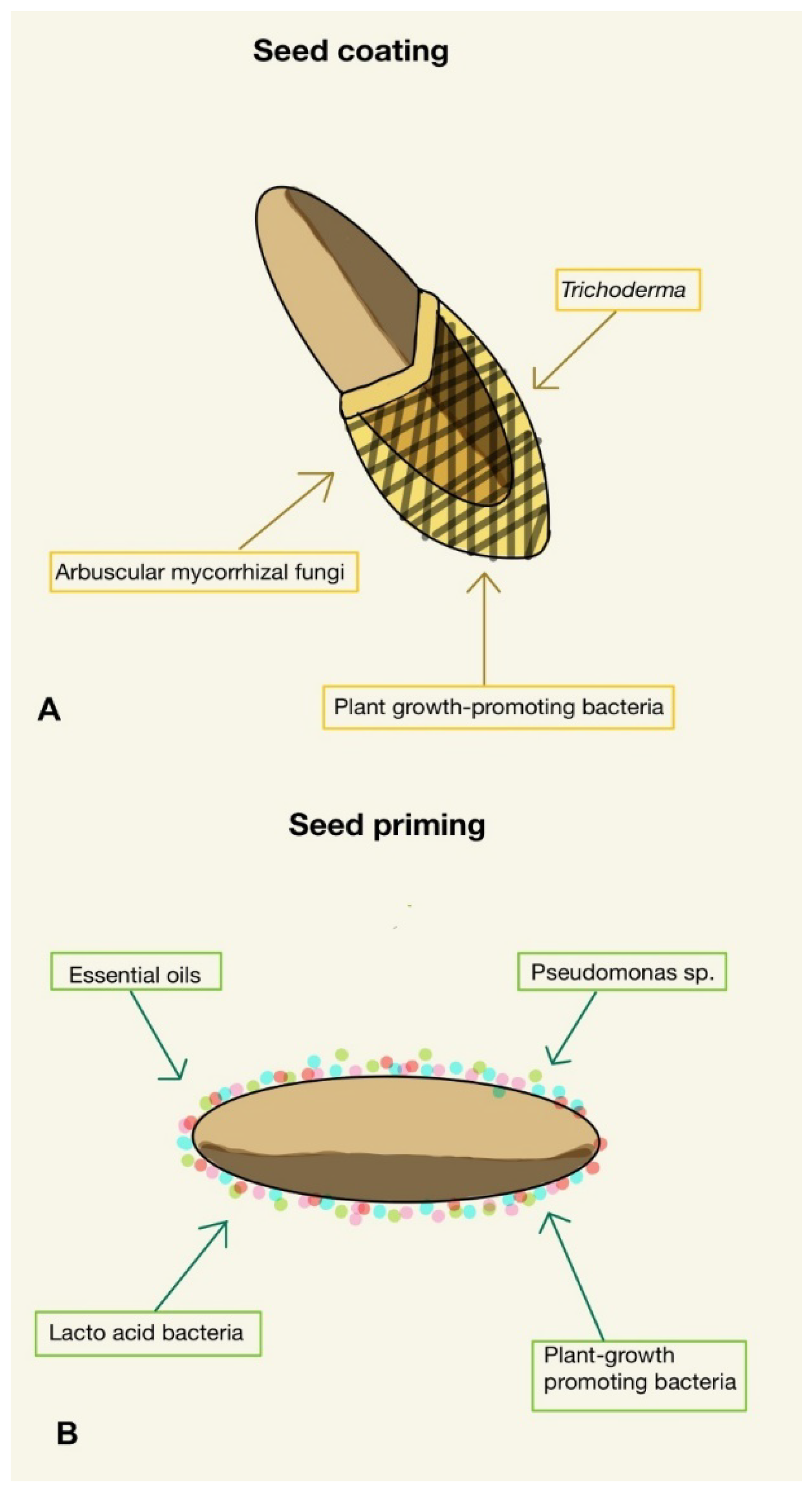 Processes 10 00655 g002 Processes 10 00655 g002