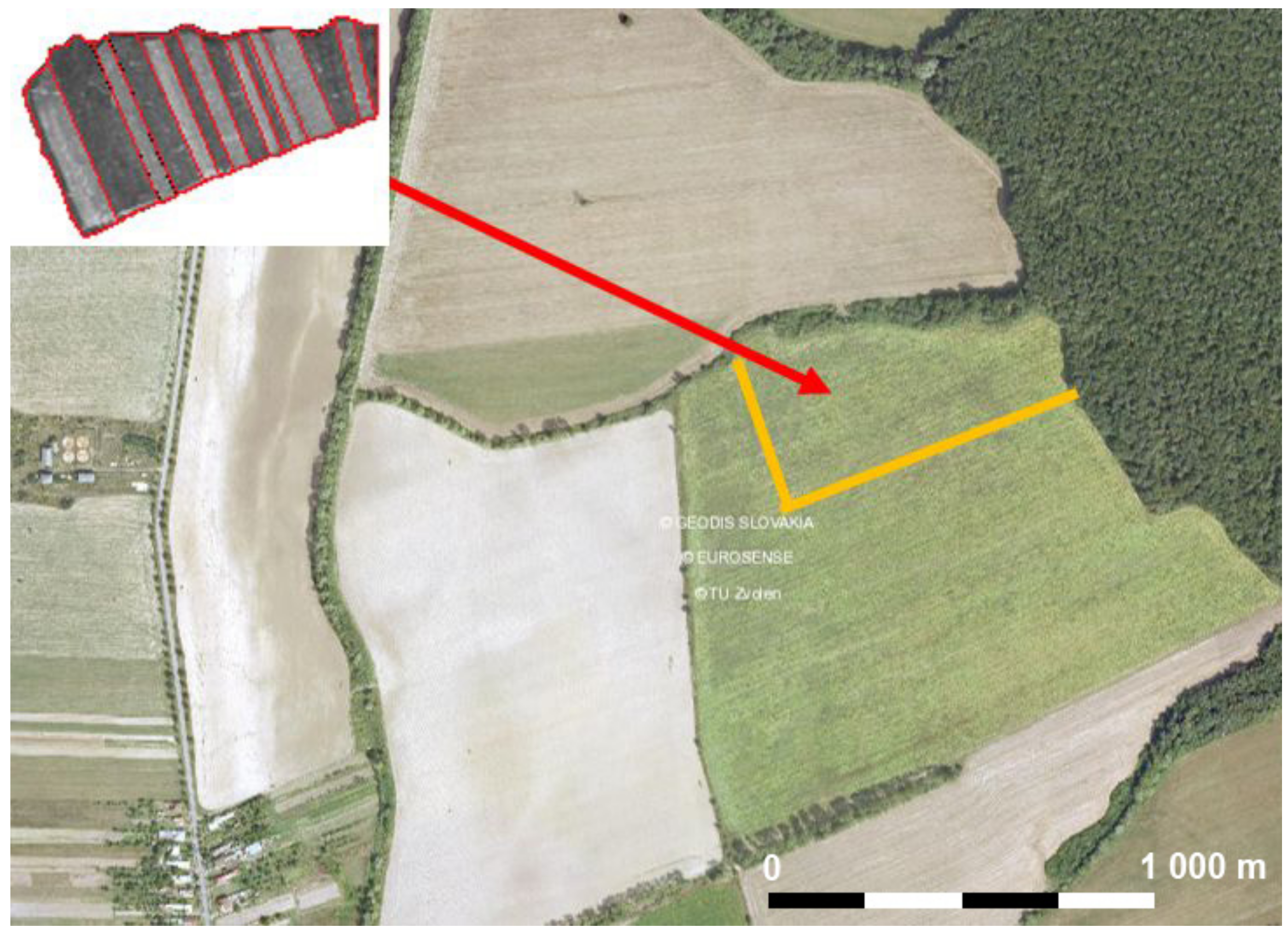 Processes 10 00658 g002 550